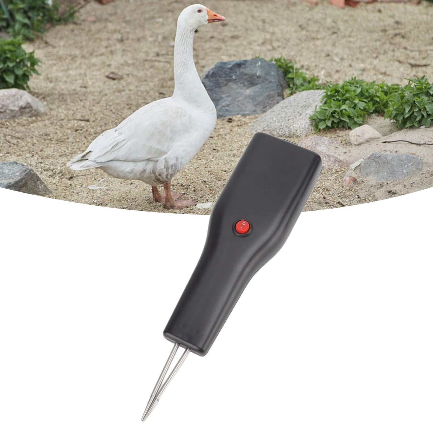 Desplumadora de Pollos, Desplumadora de Pollos Eléctrica Máquina Desplumadora de Pollos de Mano a Prueba de Agua Herramienta Automática para Desplumar Aves de Corral de Pelo Corto