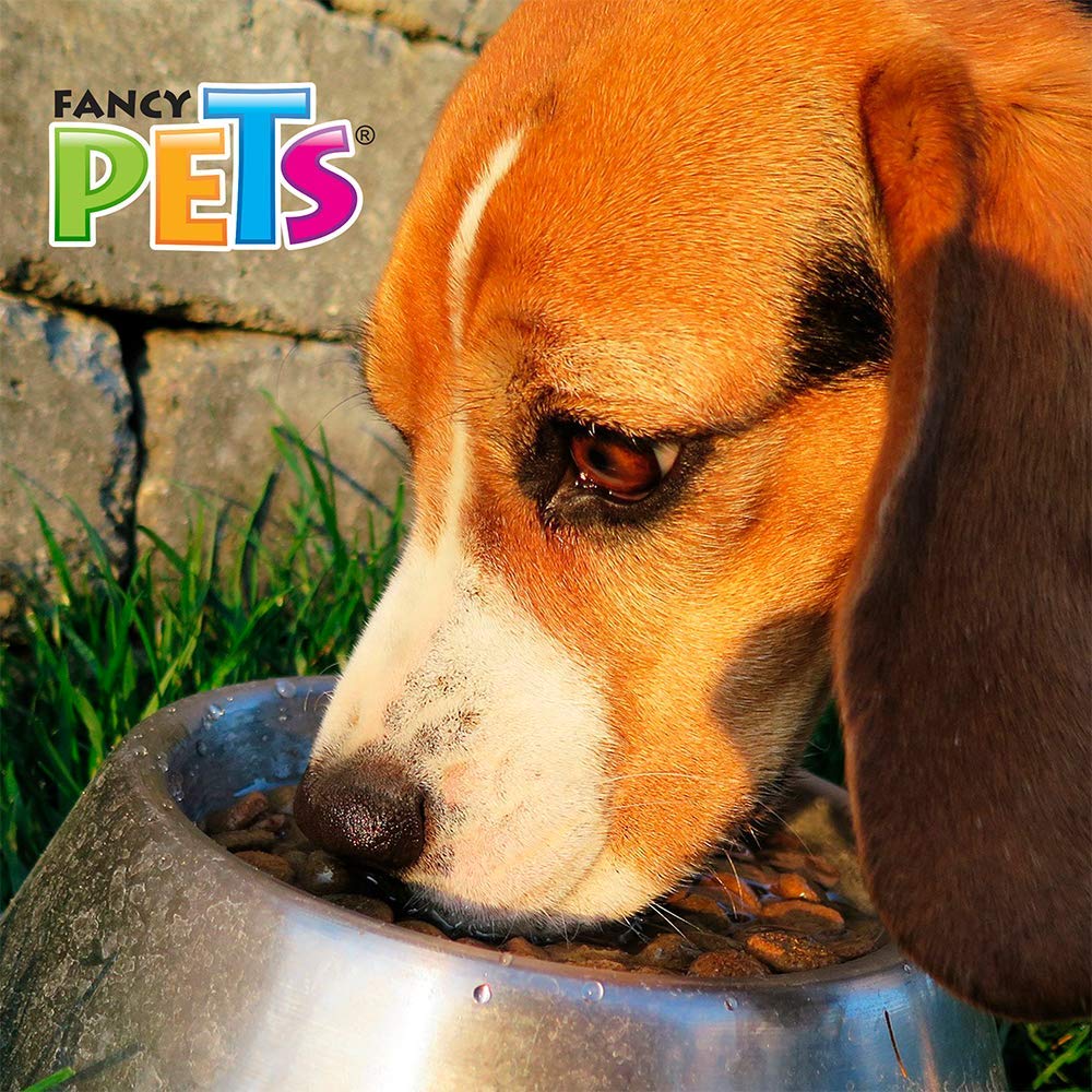 Fancy Pets Plato de Acero Inoxidable para Perro de Orejas Largas