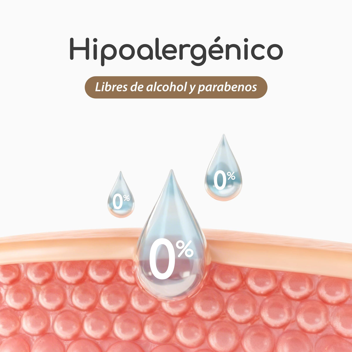 Papel Higiénico y Toallas Íntimas Walfort Biodegradable a Base de Plantas con Vitamina E y Aloe Vera