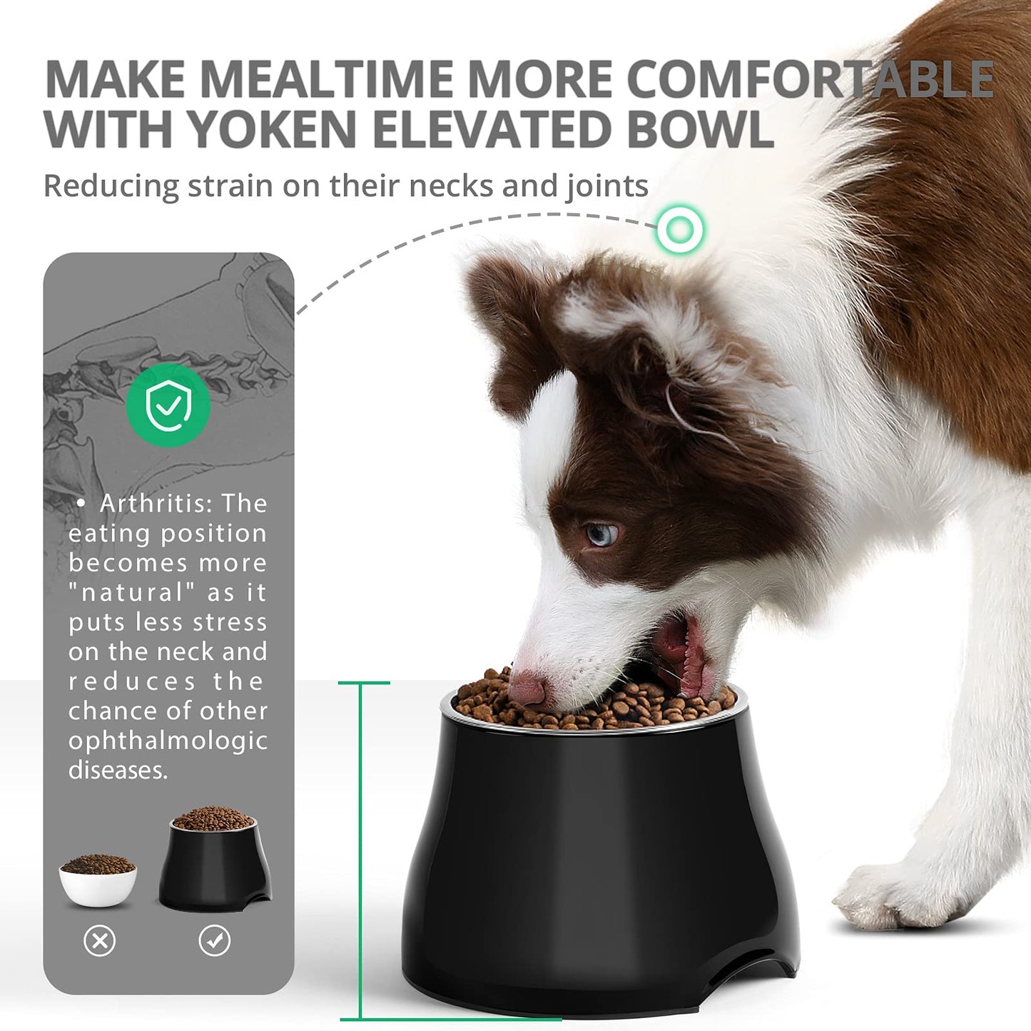 Cuencos Elevados Yoken Coloridos con Tazón de Acero Inoxidable para Perros de Tamaño Grande