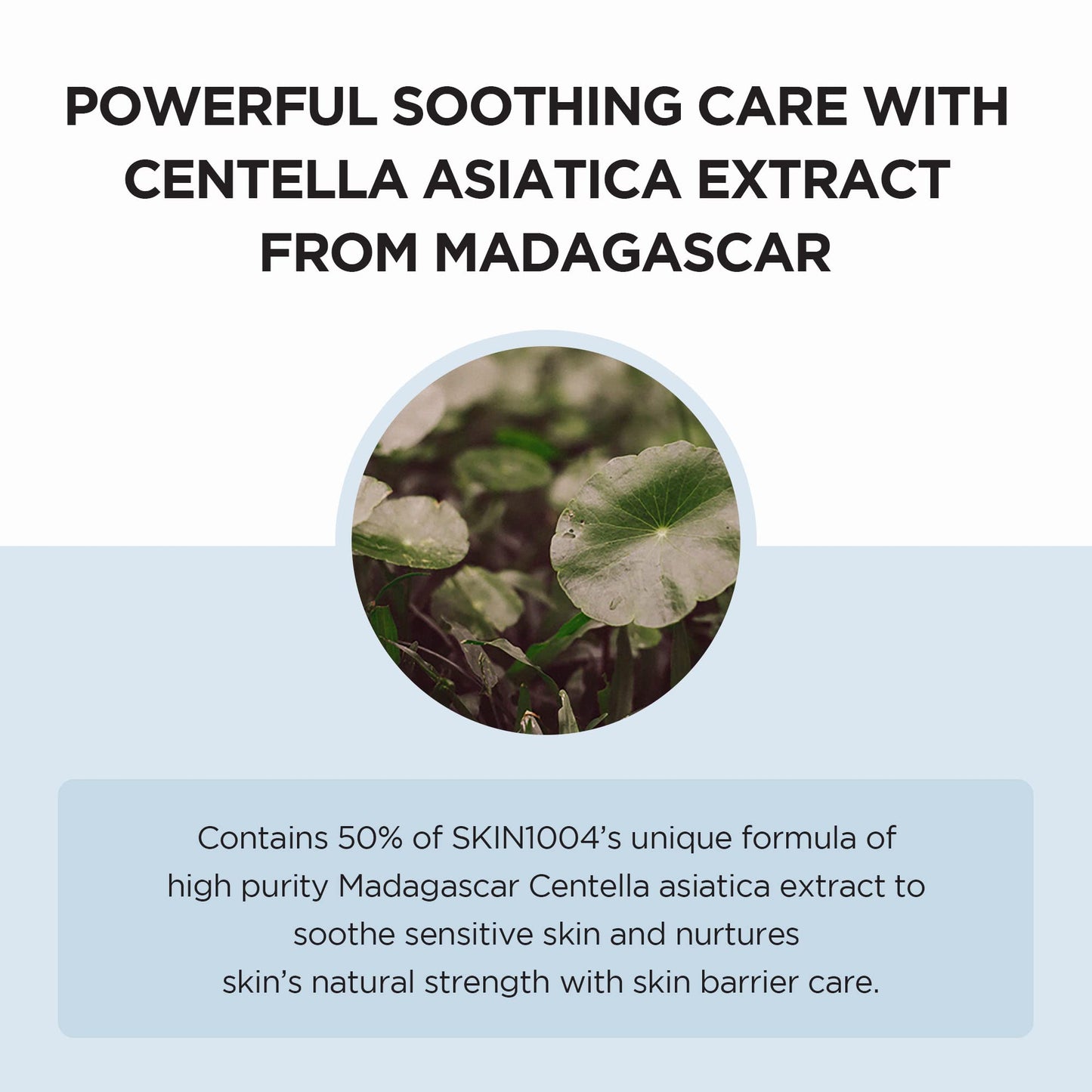 SKIN1004 Madagascar Centella Hyalu-Cica Moisture Cream (Crema Facial Hidratante Ligera)