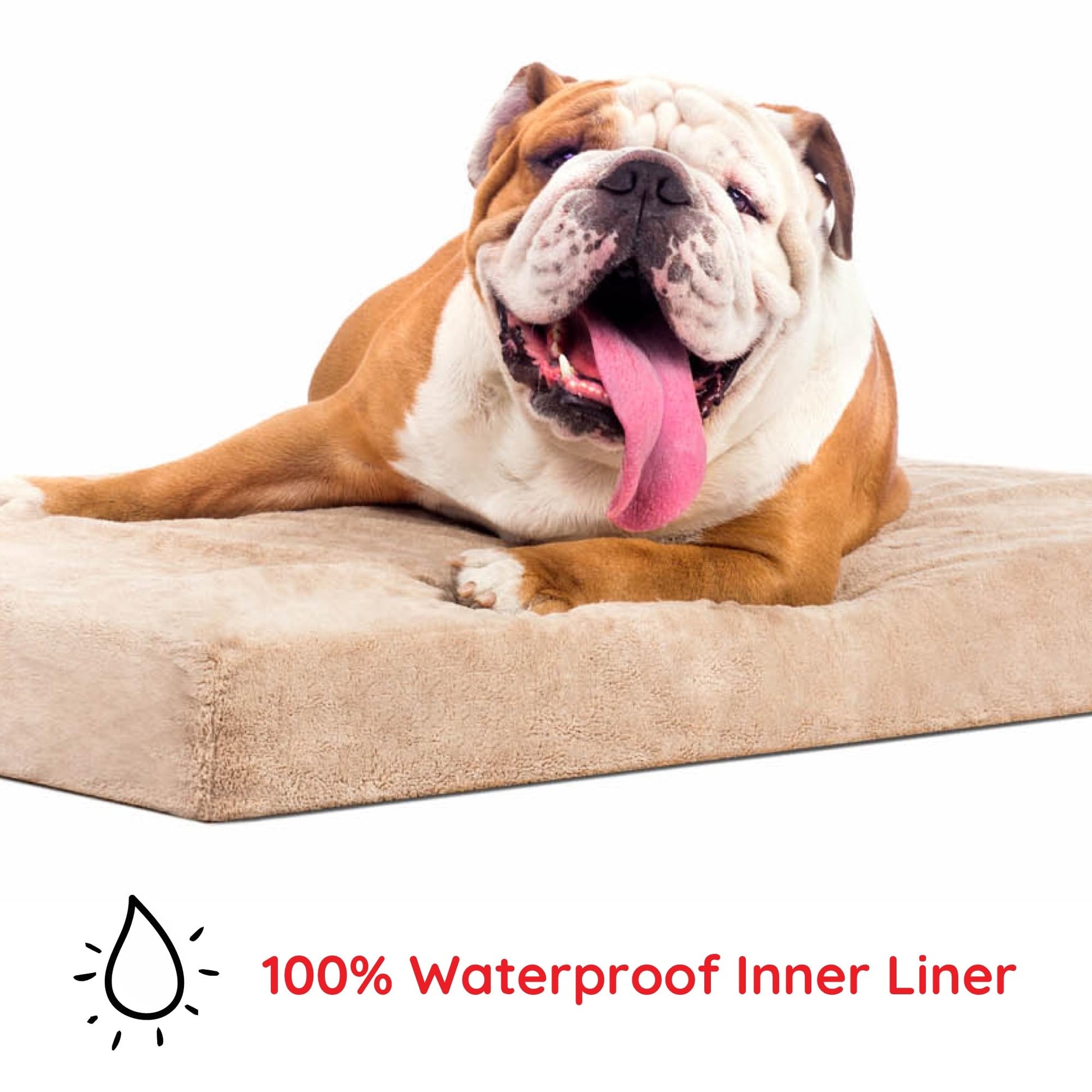 Brindle Cama para Perro ortopédica de Memory Foam de 10 cm Cubierta de velvetón extraíble con Lino Impermeable, tamaño Chico, Color Negro/carbón, 56 x 41 cm