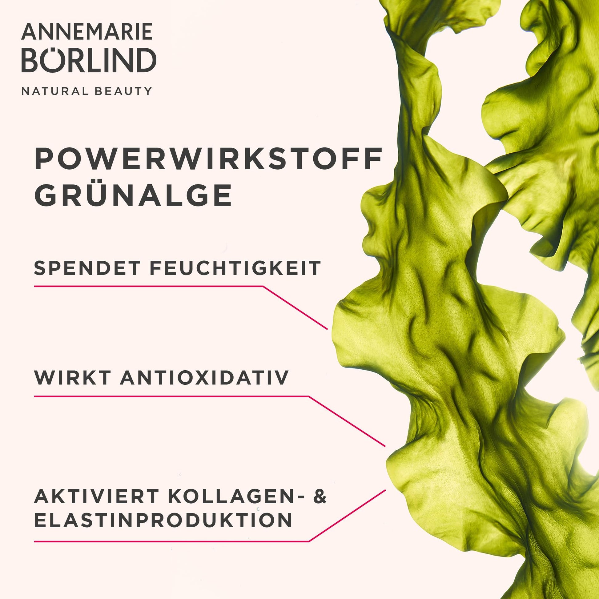 Crema de Día Antienvejecimiento System Absolute de Annemarie Borlind - 50 ml. ¡Reduce arrugas y rejuvenece la piel! Ideal para combatir signos de la edad. Compra online.