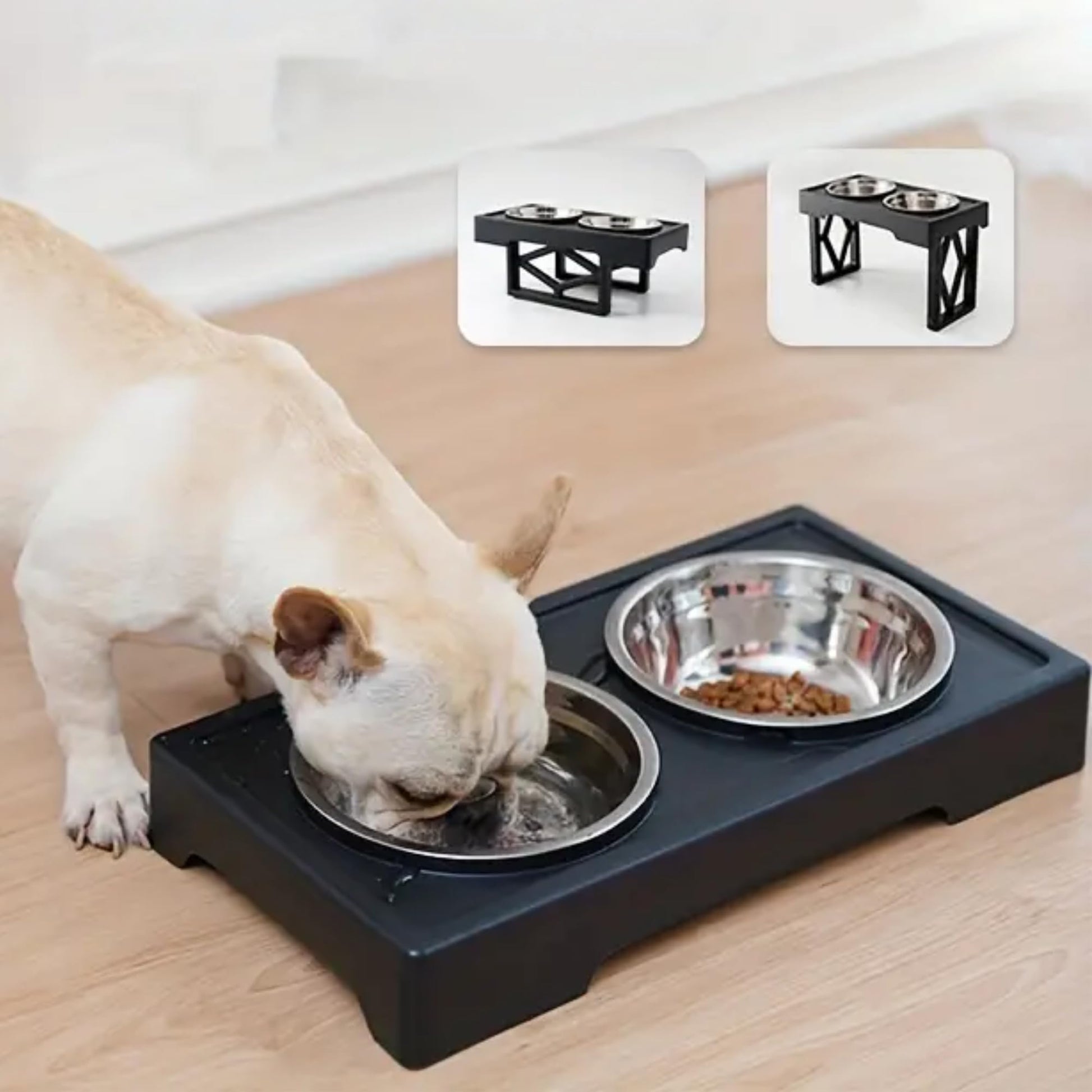Fastpet Comederos Elevados para Perro y Gato - Comedero para Perro Ajustable Configuraciones, con Plato para Perro de Alimentación Lenta, Tazone Bebedero Acero Inoxidable de 1,6 L y Plato Slow Feed
