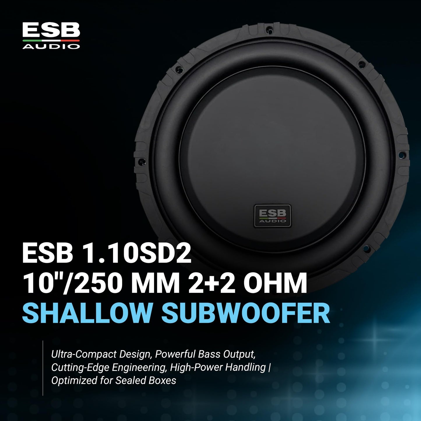 ESB Audio 10"/250 mm DVC 2+2 ohm Subwoofer