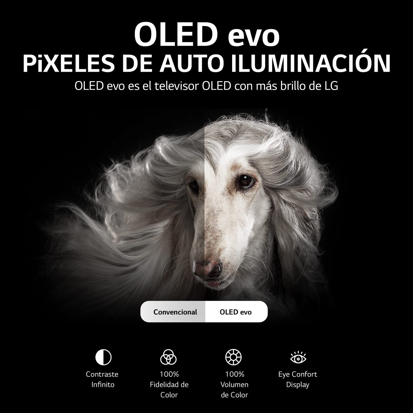 LG Pantalla OLED TV Evo 48'' 4K SMART TV con ThinQ AI OLED48C2PSA
