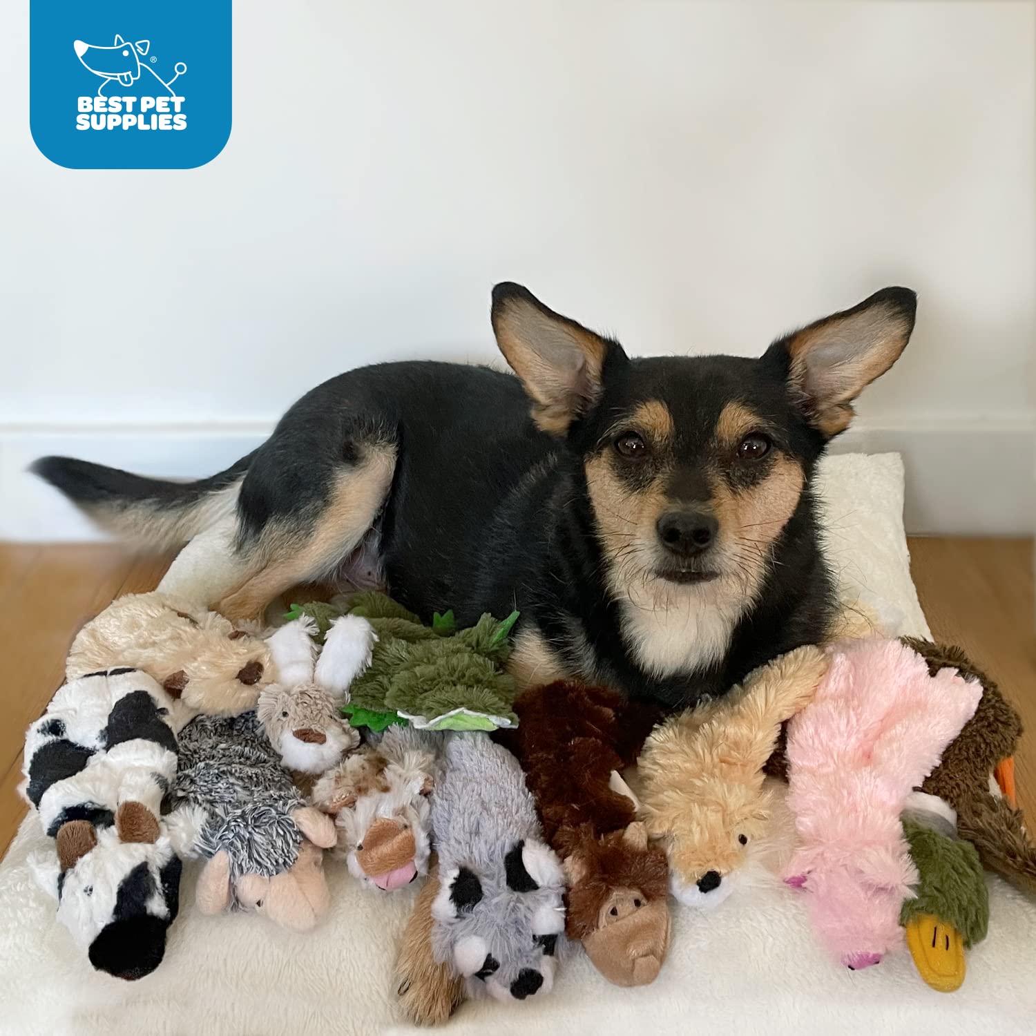 Best Pet Supplies Juguetes chirriantes 2 en 1 para Perros con Tela Suave, Capacidad para una Botella de plástico, tamaño Mediano, (Liebre, Vaca, león, Overol, Ardilla)