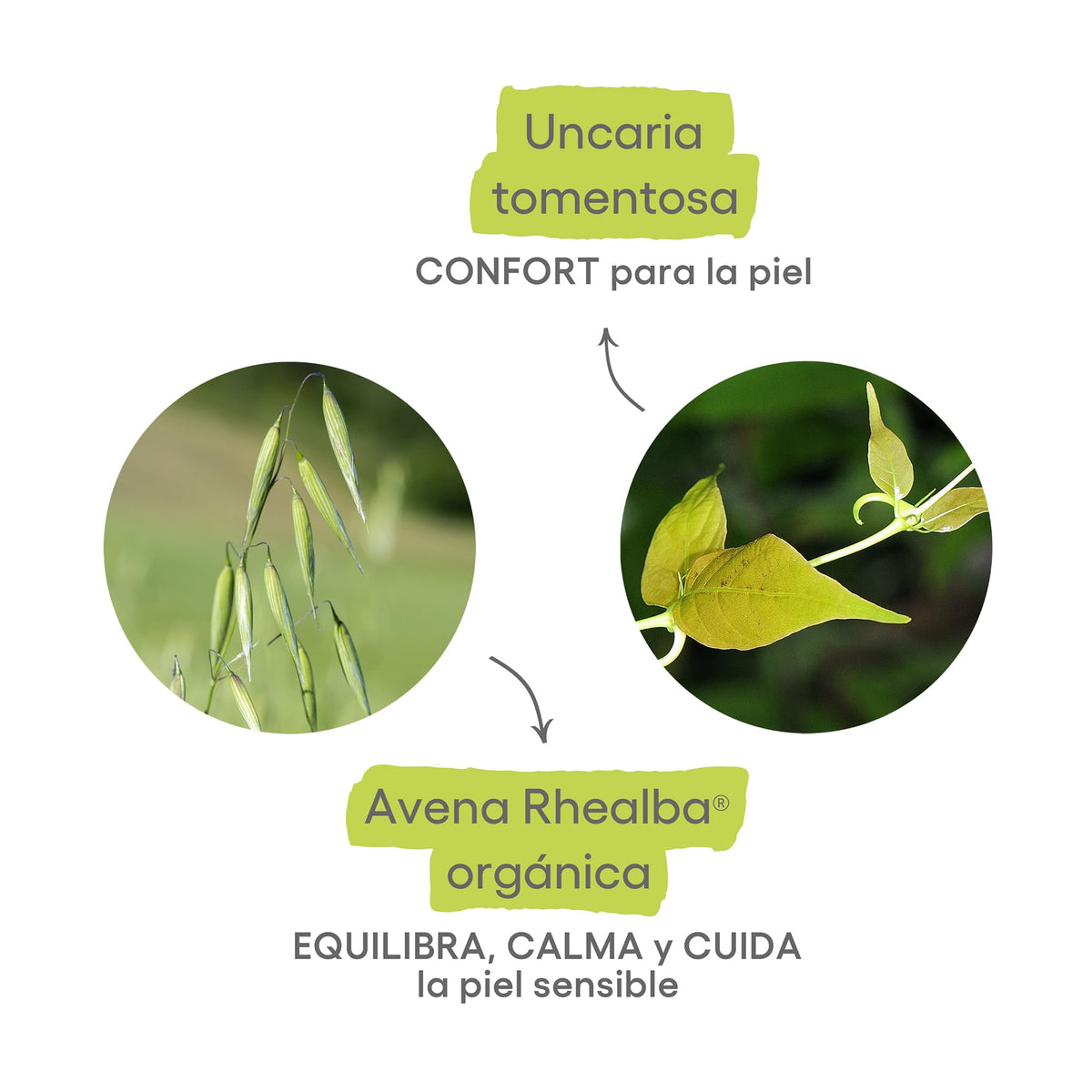 A-DERMA Cutalgan Spray Refrescante Calmante Piel Irritada con Avena 100 ml