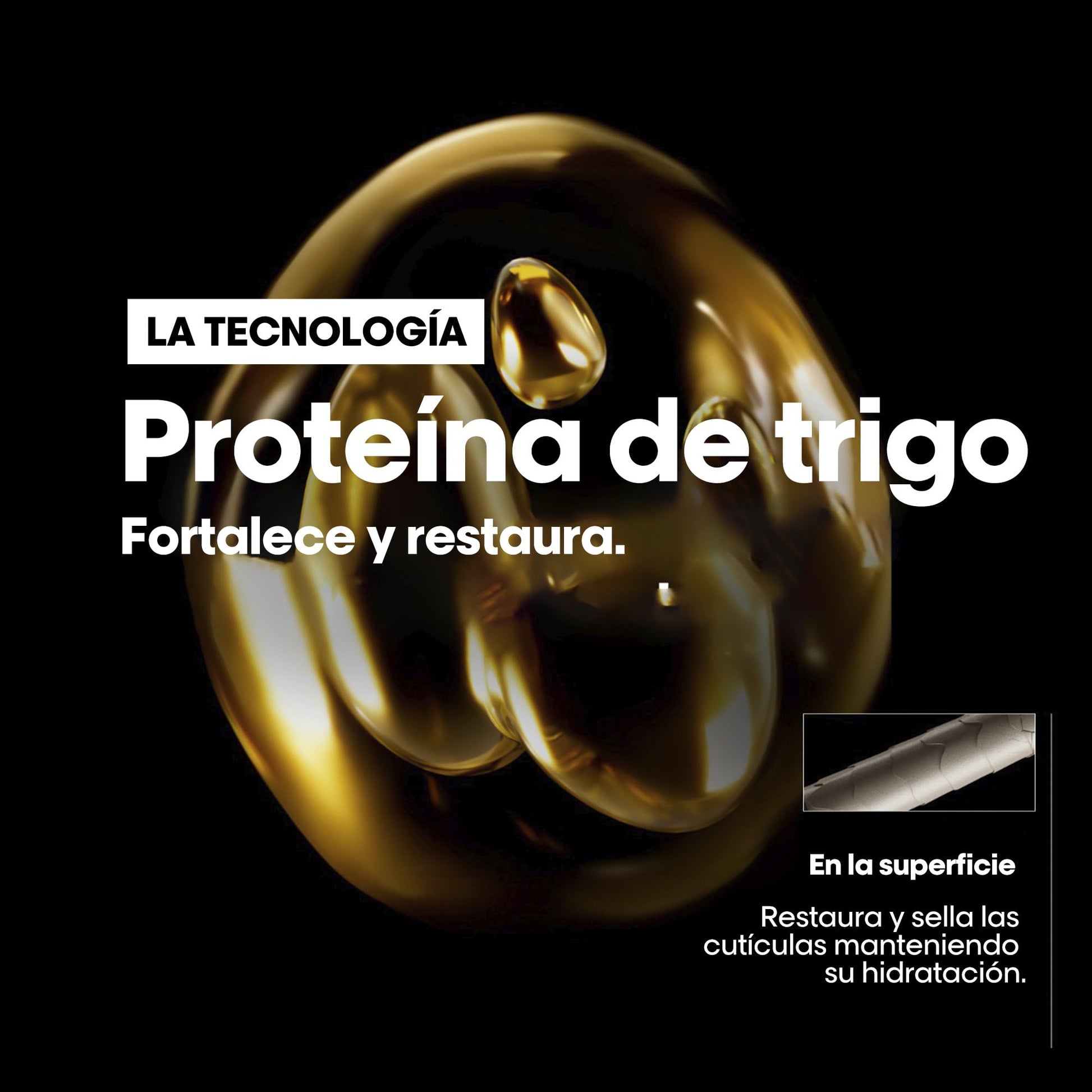 L'Oreal Professionnel Absolut Repair Tratamiento 10 en 1 | Aceite reparador para cabello seco y dañado | Nutre, revitaliza y repara el cabello | Con protección térmica | Tecnología de proteína de trigo | 90ml