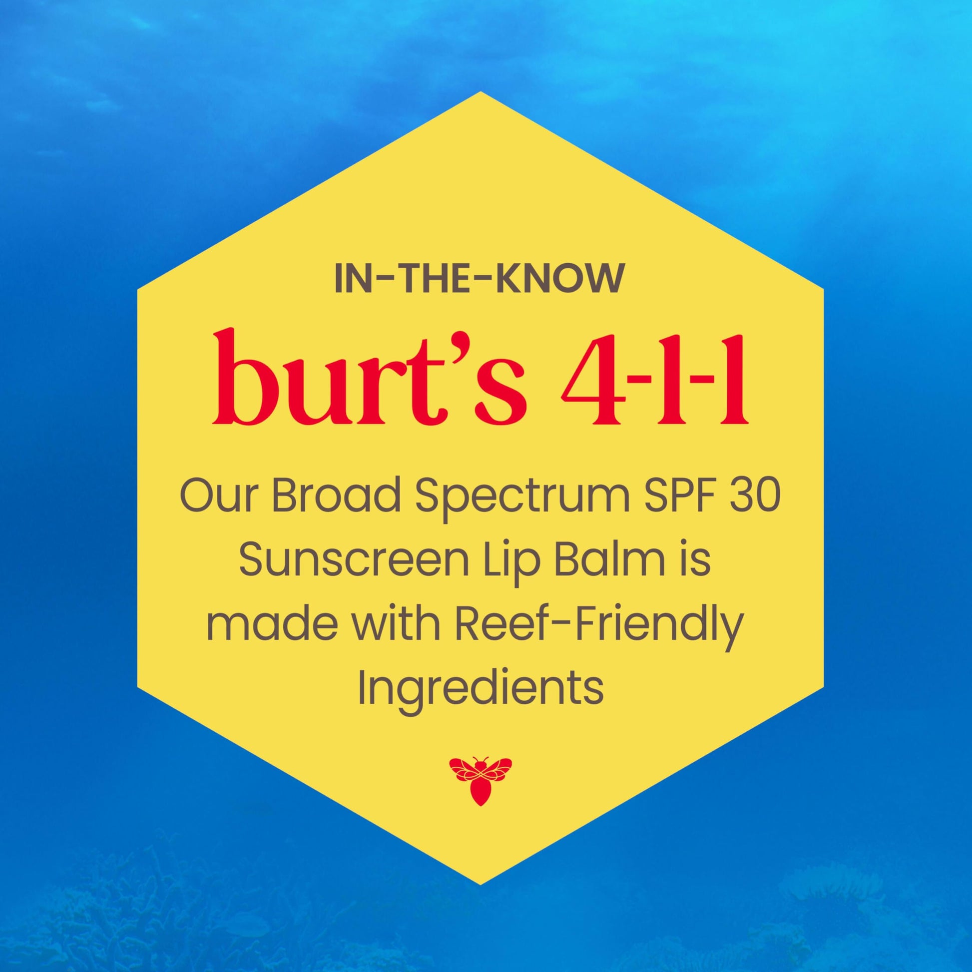 Burt's Bees Beaches and Cream Sun Care SPF 30 Lip Balm, Water-Resistant Lip Moisturizer, Nano-Free Zinc Oxide Formula, Natural Conditioning Lip Treatment, 3 Tubes, 0.15 oz