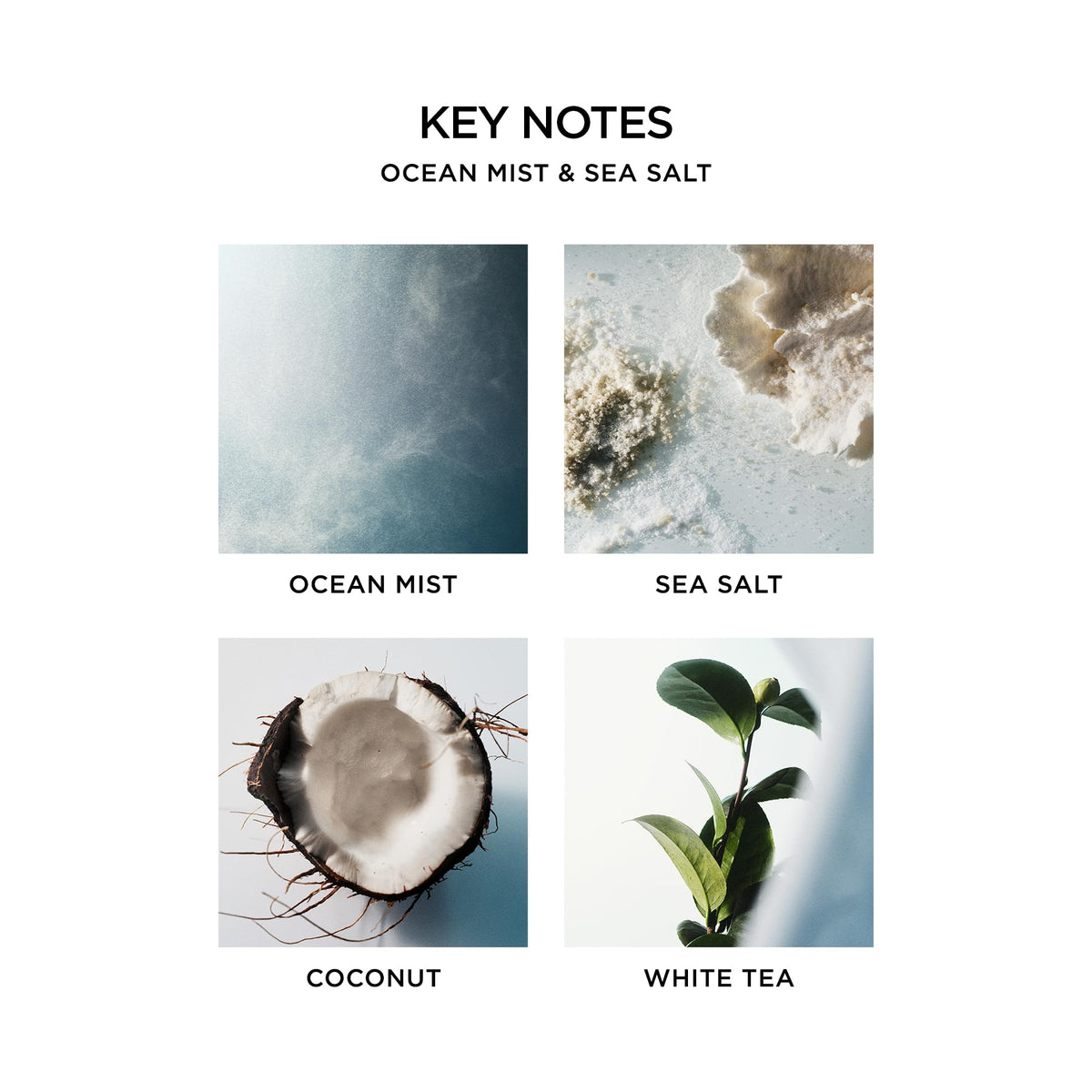 Nest New York Ocean Mist & Sea Salt Liquid Hand Soap