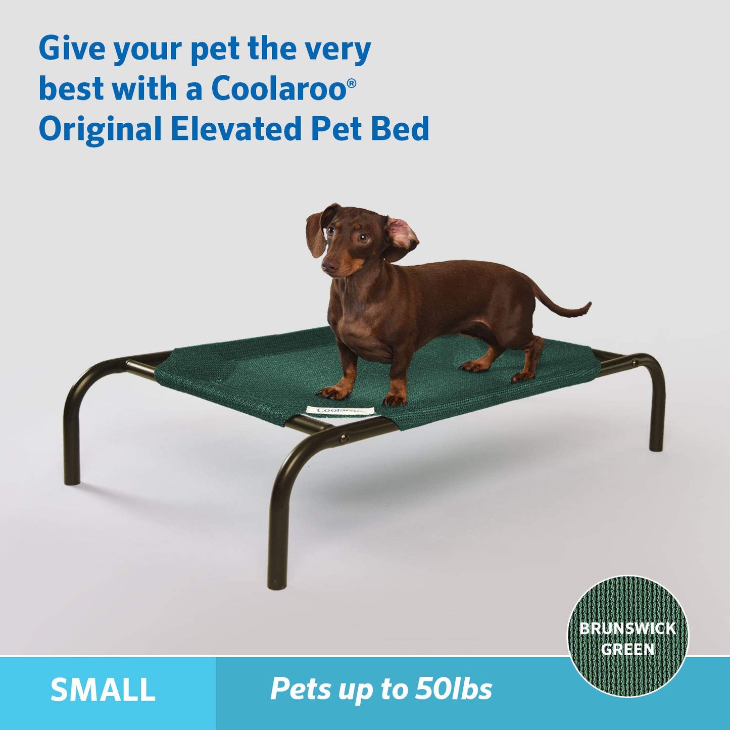 Coolaroo - Cama elevada para Mascotas