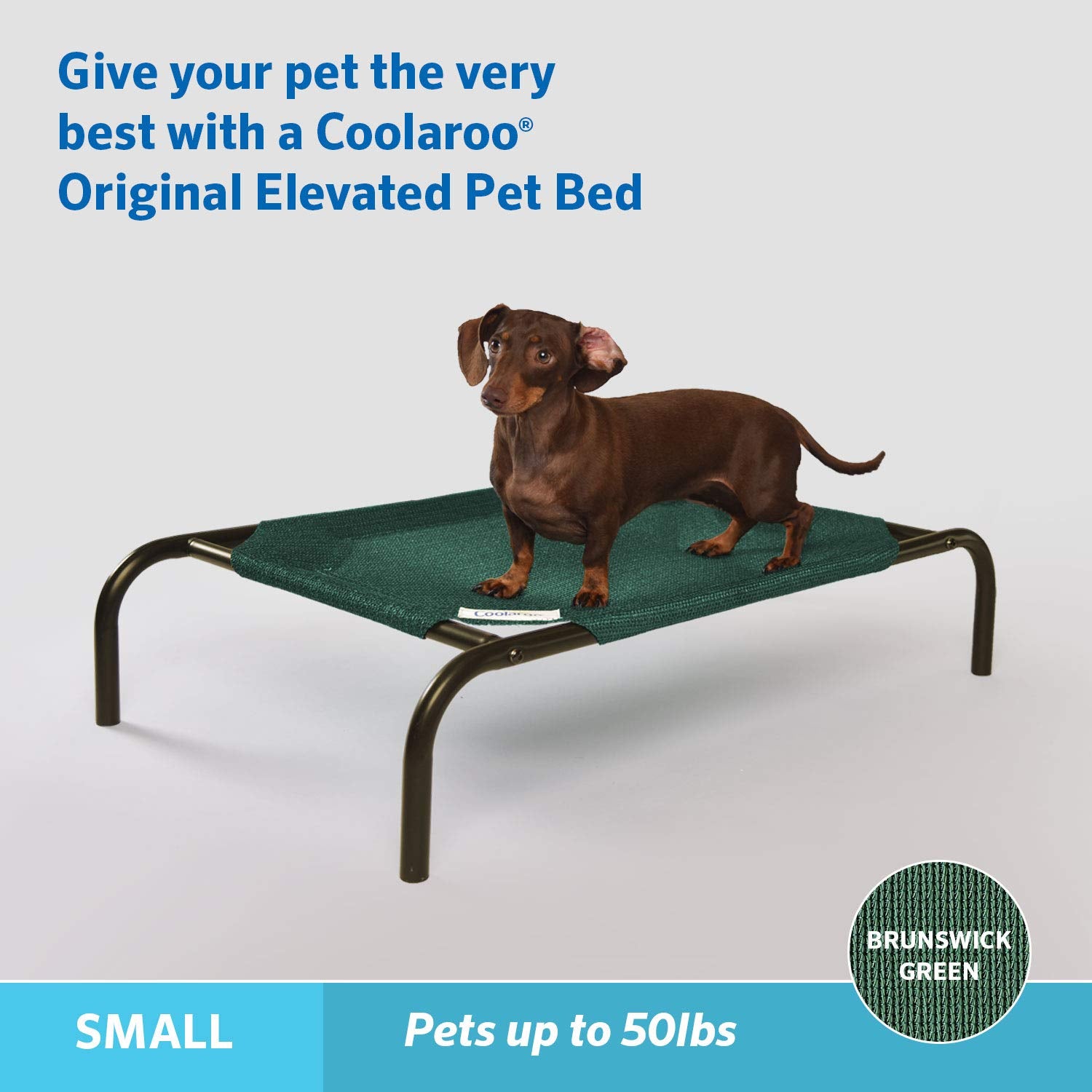 Coolaroo - Cama elevada para Mascotas