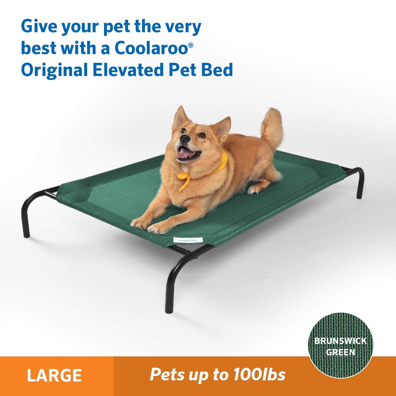 Coolaroo - Cama elevada para mascotas Gale Pacific con tejido de punto, verde, grande