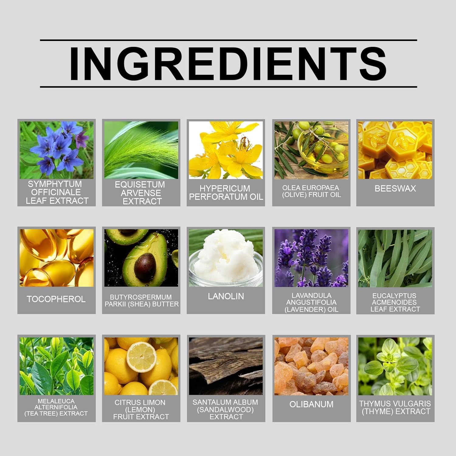 fretory Organic Herbal Salve, Organic Comfrey Herbal Salve, Organic Herbal Salve Oil for Skin