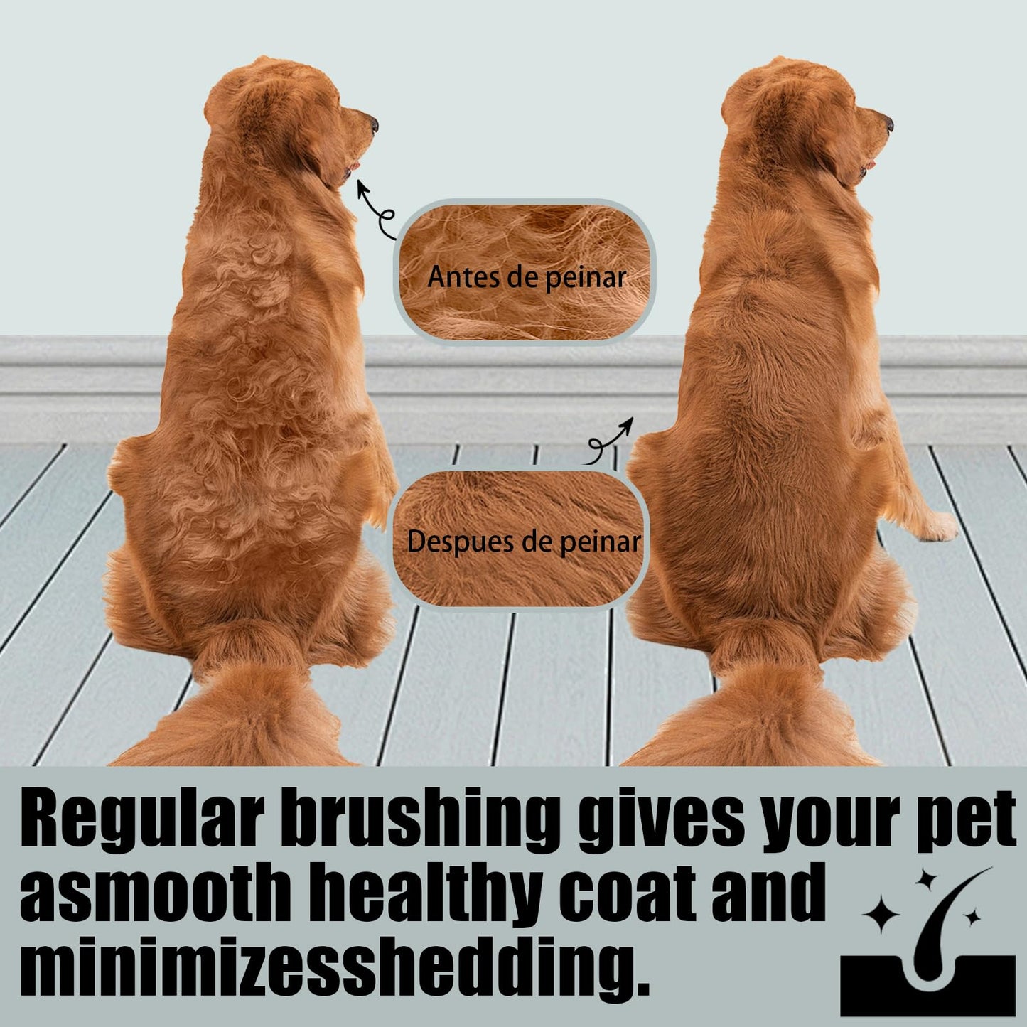 Cepillo Quita Pelo de Mascotas con Manguera y Adaptador Dyson V15 V12 V11 V10 V8 V7 Accesorios para Mascotas