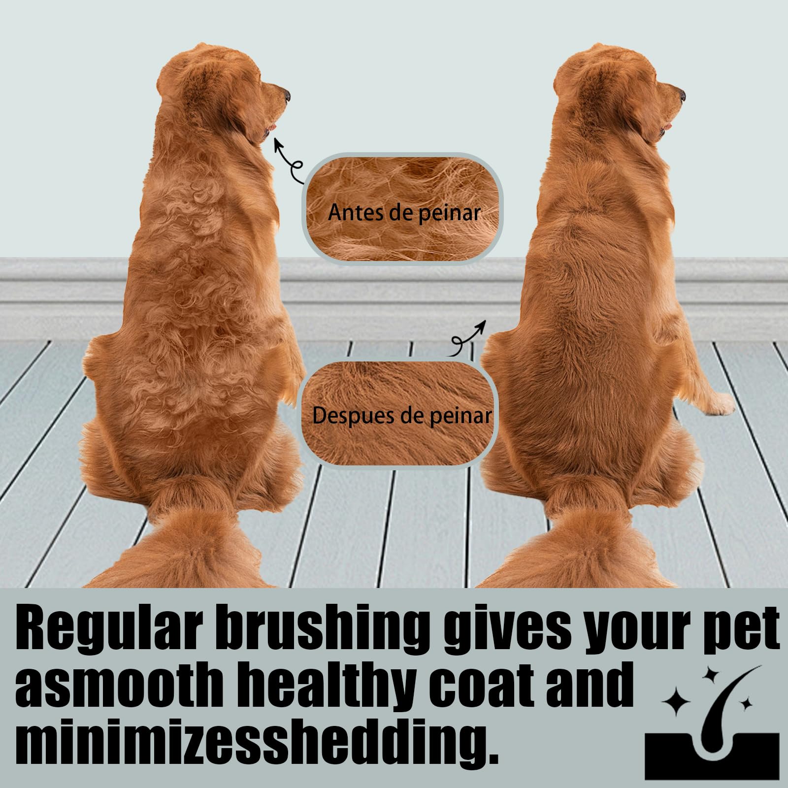 Cepillo Quita Pelo de Mascotas con Manguera y Adaptador Dyson V15 V12 V11 V10 V8 V7 Accesorios para Mascotas