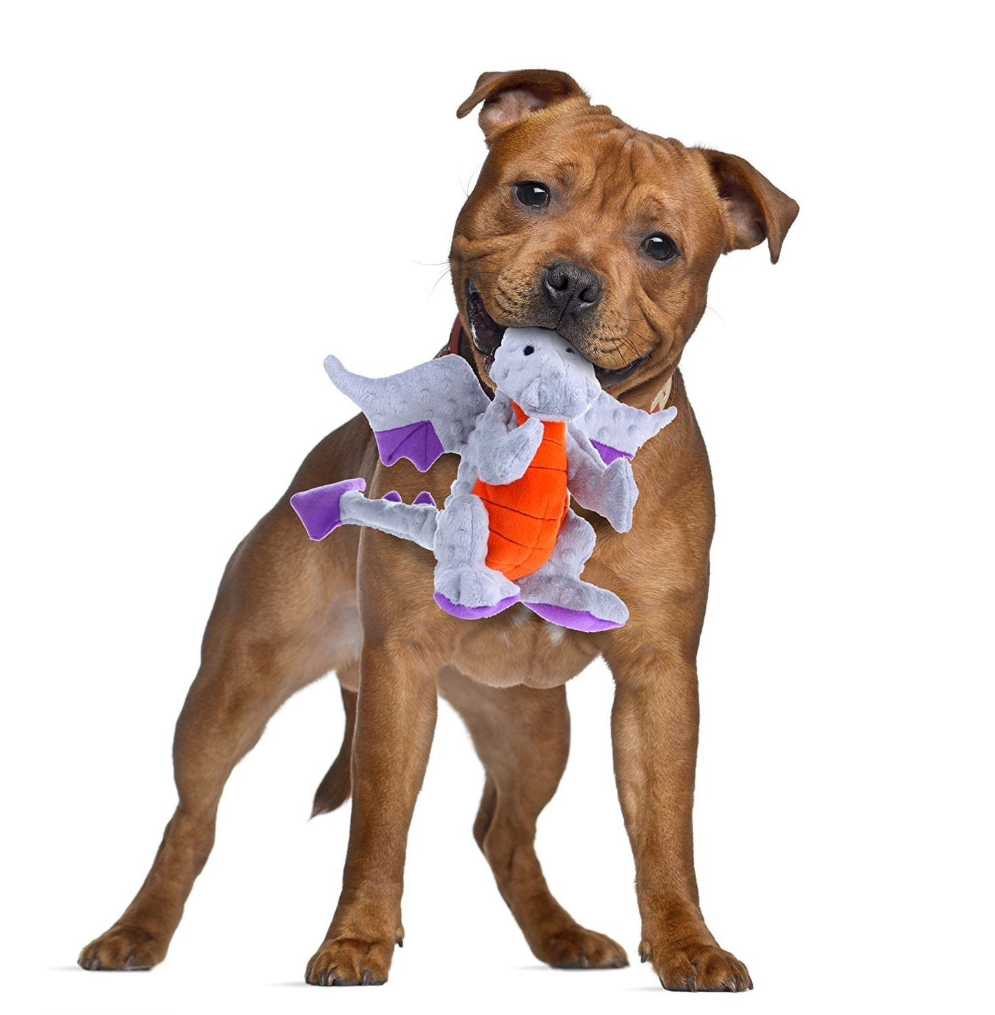 GoDog Dragons con tecnología de protección para masticar, Gris, Large