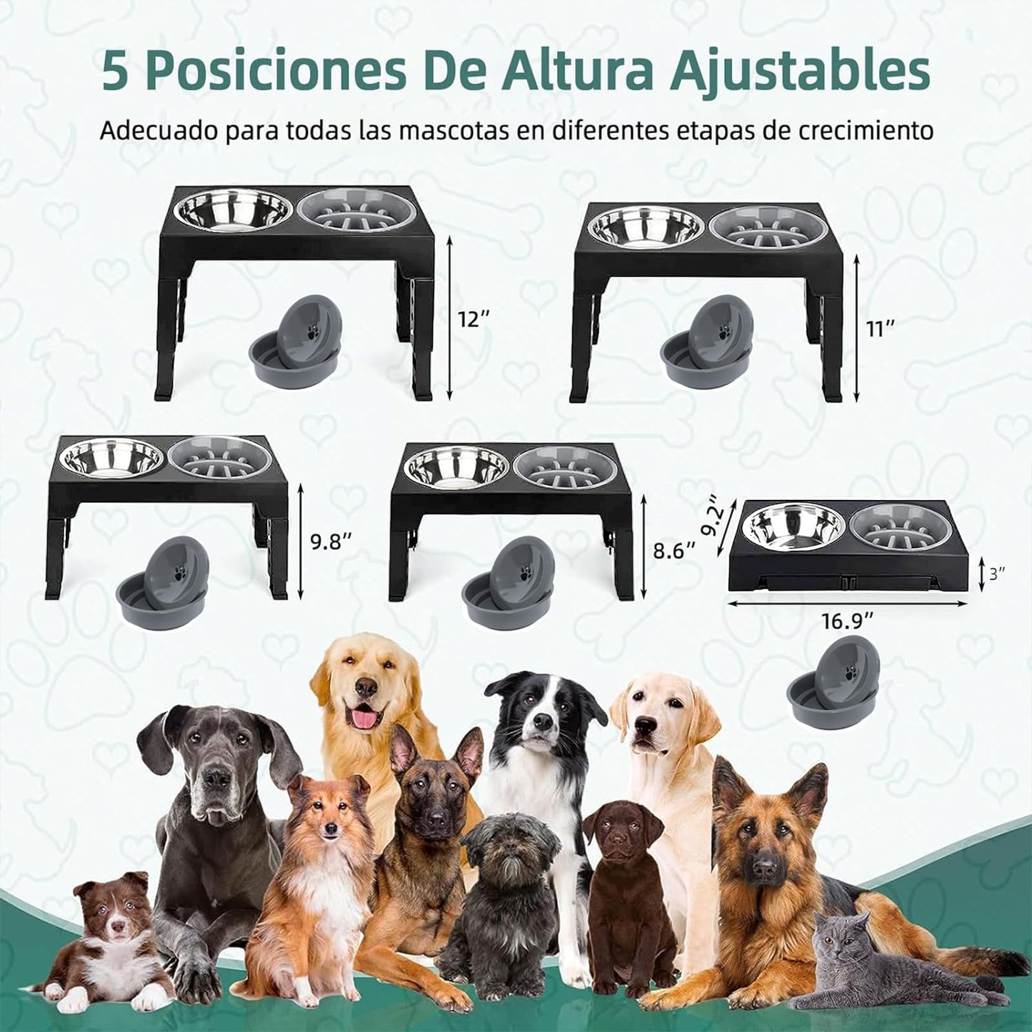 Cuencos Elevados EKEJLI Negro Ajustables para Perros y Gatos de Tamaño Mediano y Grande