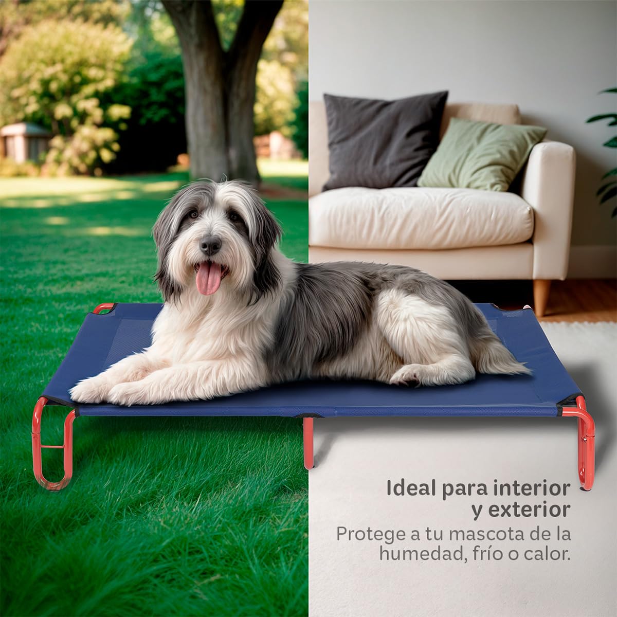 Cama Elevada para Perro Grande ESQUIMAL Azul Rojo con Malla Transpirable Ideal en Calor