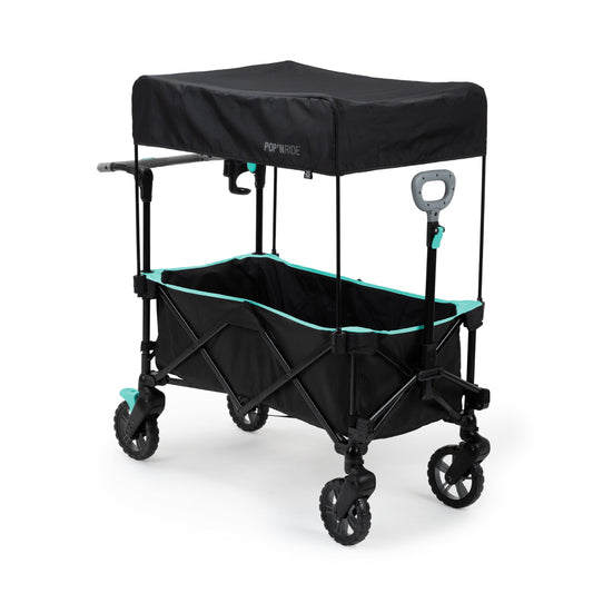 Cochecito Transportador Summer by Ingenuity Negro Verde Azulado con Techo para Bebés