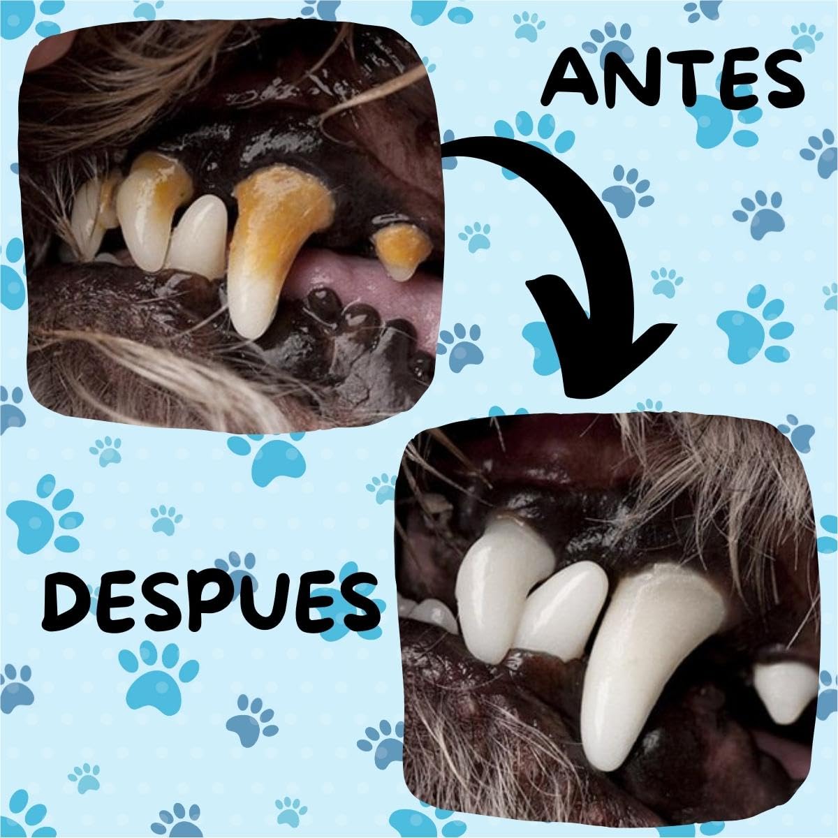 Kit Dental VERALY.MX Limpieza Profunda Mascota Perro Pasta y Cepillo Doble Dedal Silicona Flexible
