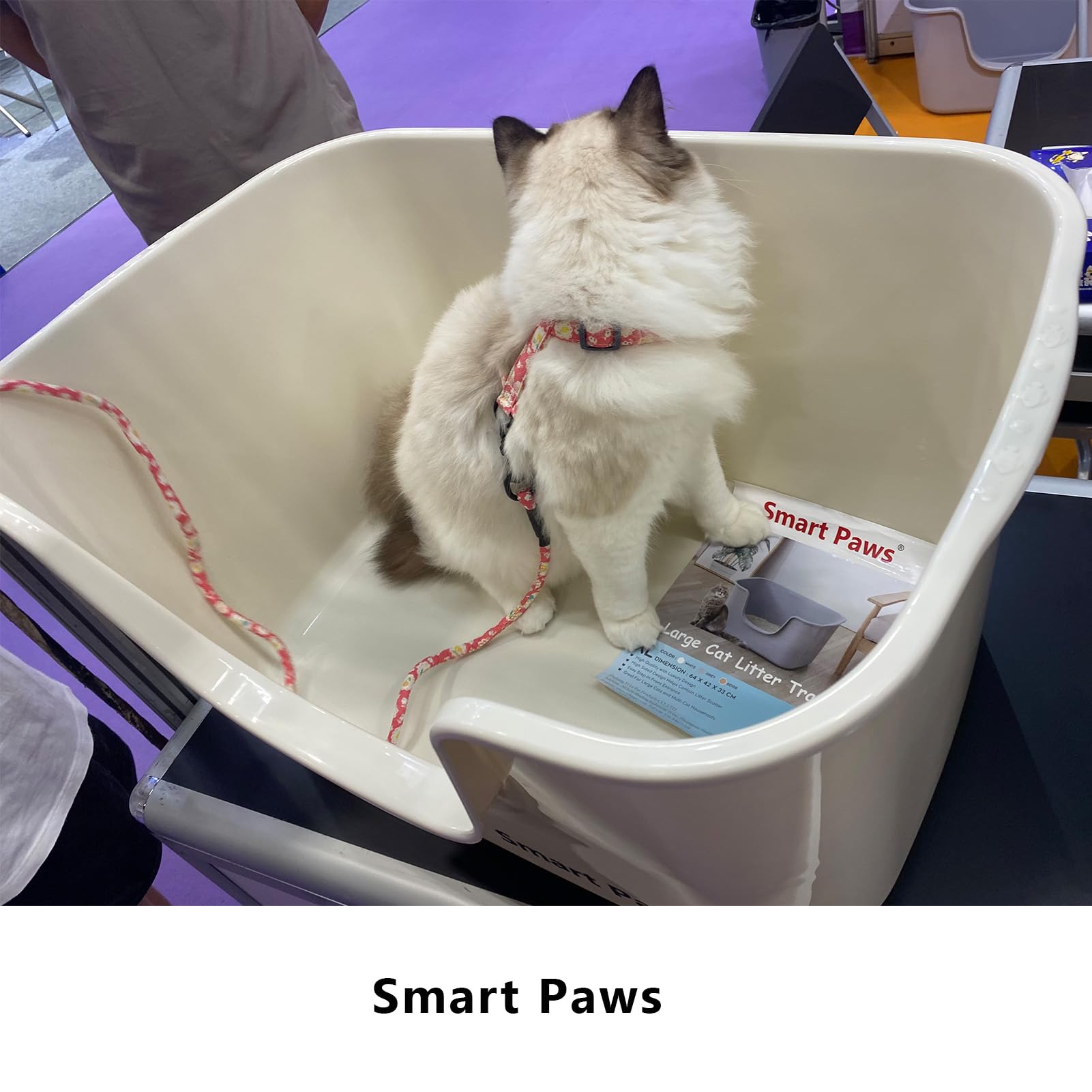 Caja de Arena Extragrande Smart Paws Gris para Gatos