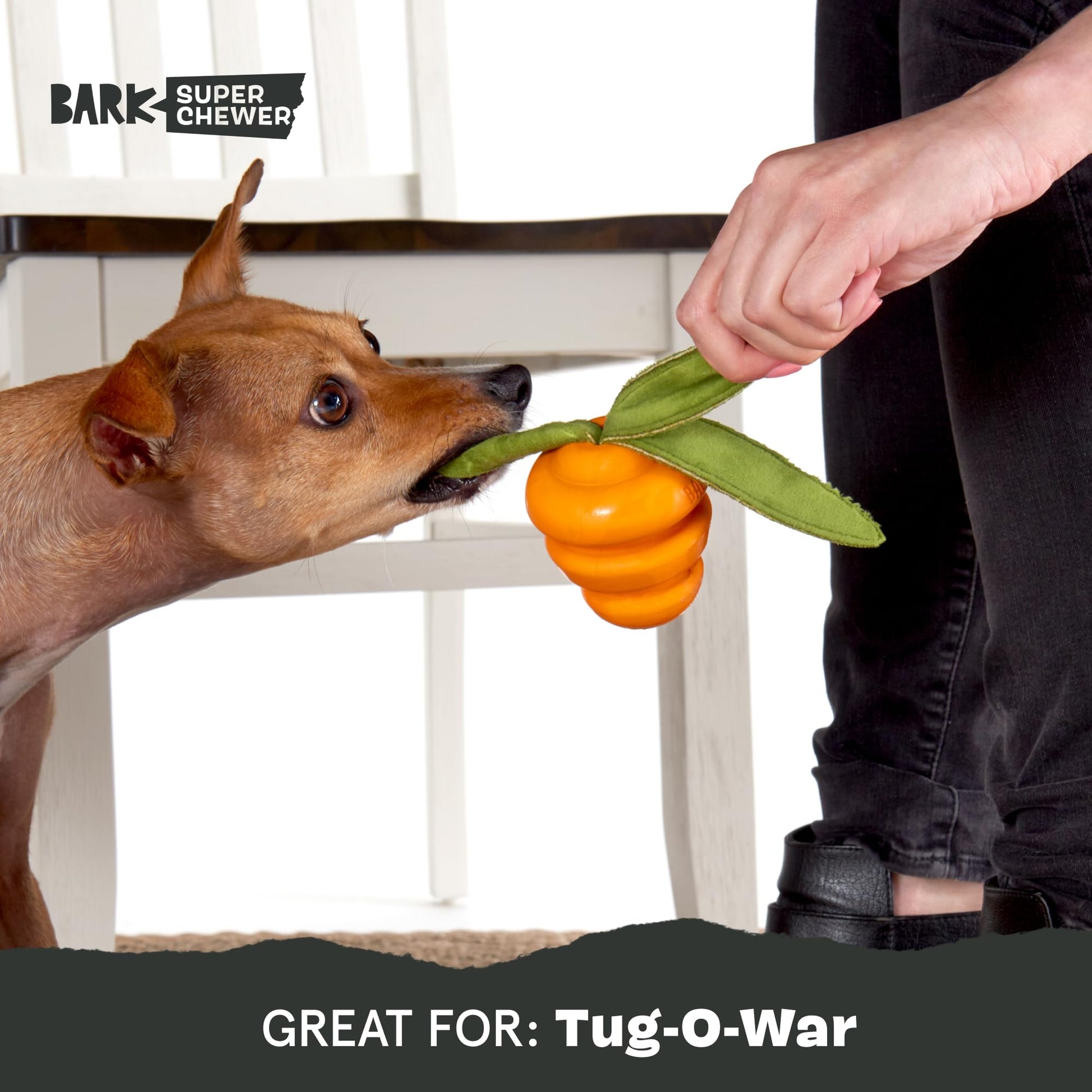 BarkBox Juguetes y masticables perfumados para perros con temática de alimentos, goma resistente y nailon súper masticador dispensador de golosinas, bolas y juguetes de dentición para perros y cachorros pequeños, medianos y grandes, zanahoria de raíces pr