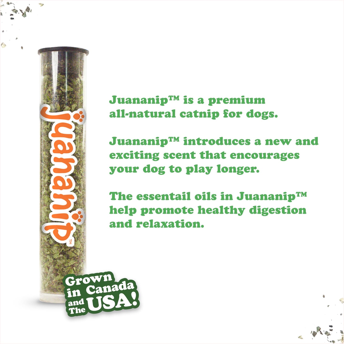 Juguete Interactivo para Perros Doggijuana Rosquilla Recargable con Zacate Gatera Orgánica Calmante Natural