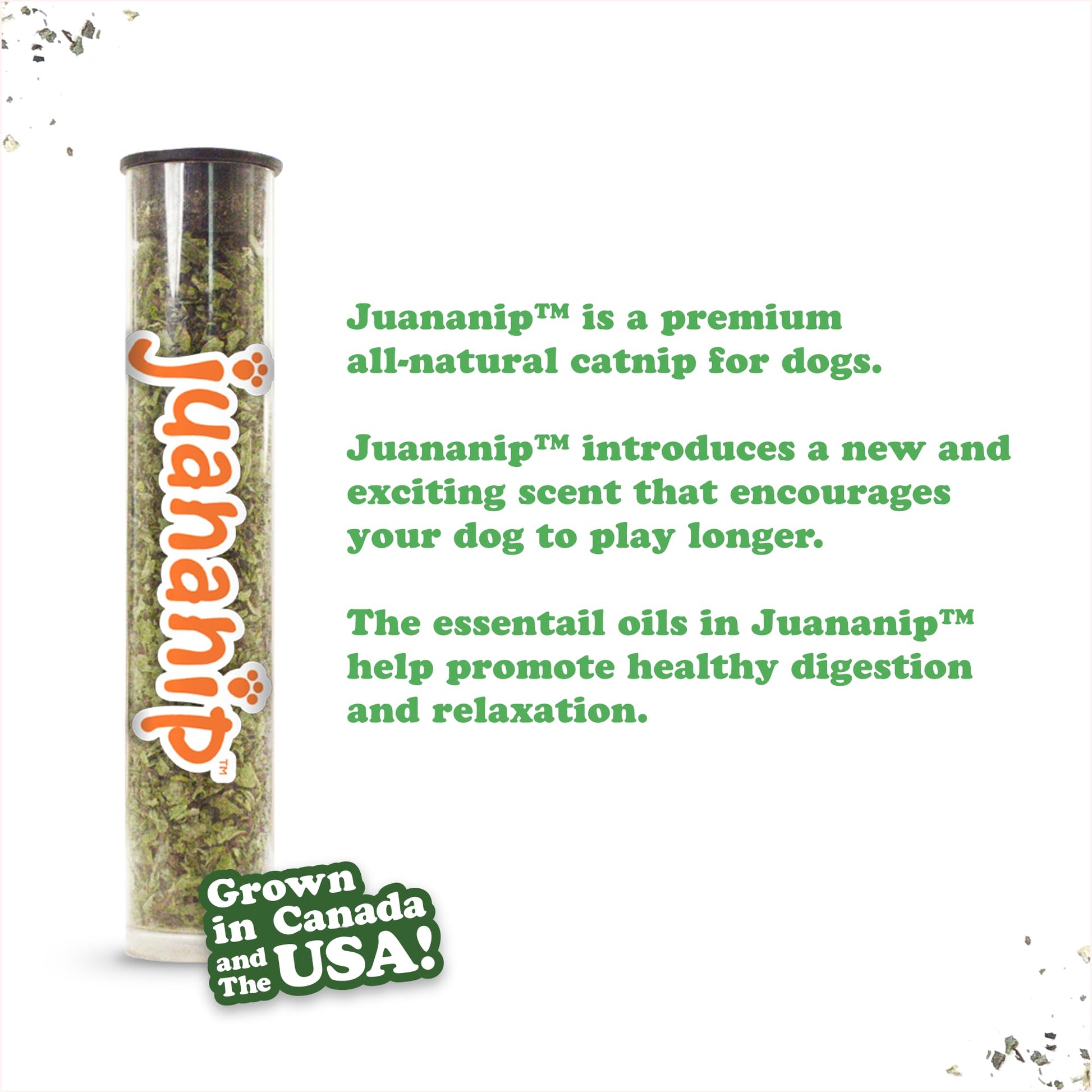 Juguete Interactivo para Perros Doggijuana Rosquilla Recargable con Zacate Gatera Orgánica Calmante Natural