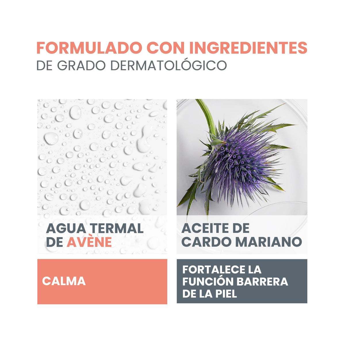 AVENE, Xeracalm Nutrition gel limpiador para rostro y cuerpo, piel seca y sensible, sin jabón ni perfume, 500ml
