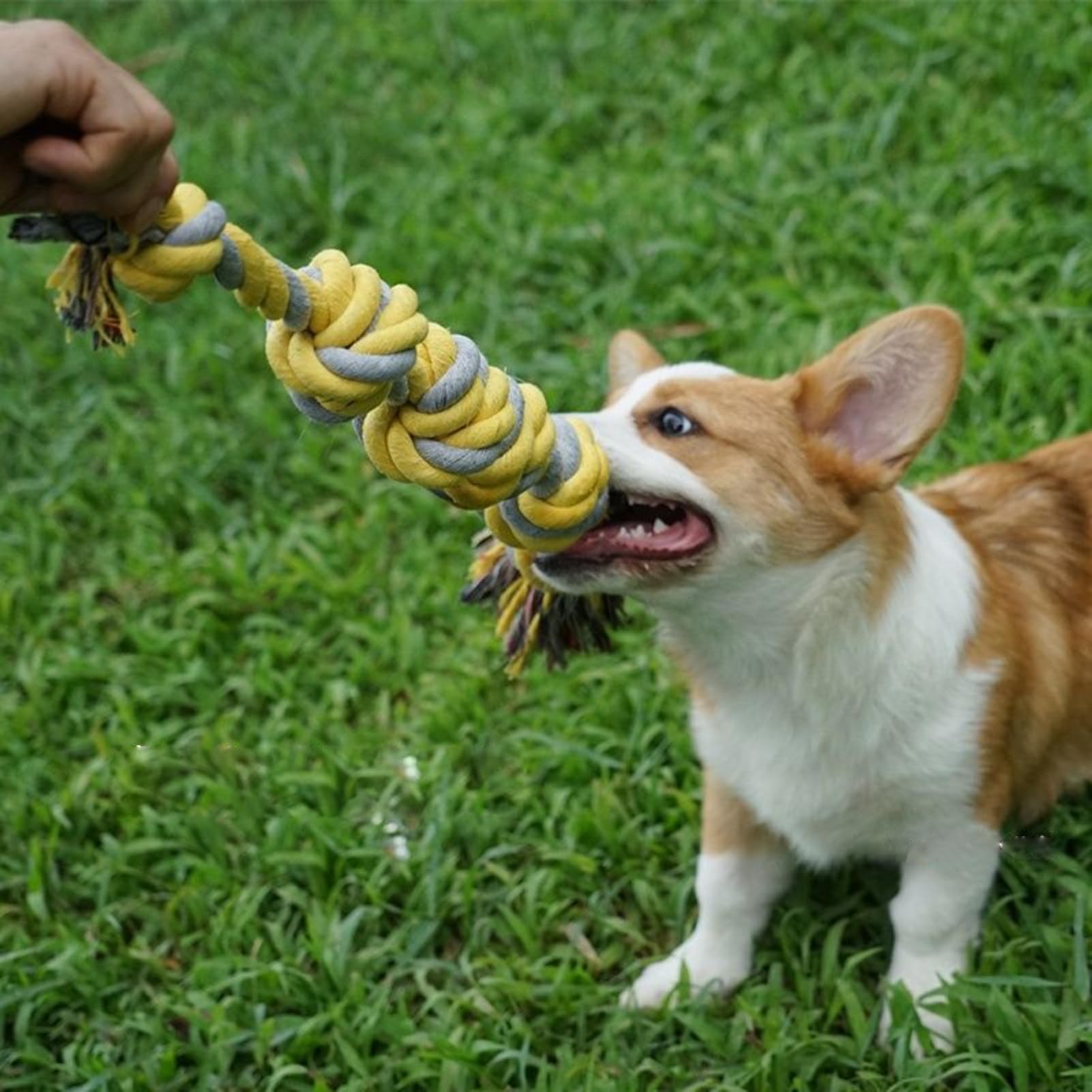 Juguetes De Cuerda para Perros, Juguete Perro Indestructible, Juguetes para Perro Uso Rudo, Juguete Masticar Perro, Juguetes para Perros Ansiosos(6 Knots)