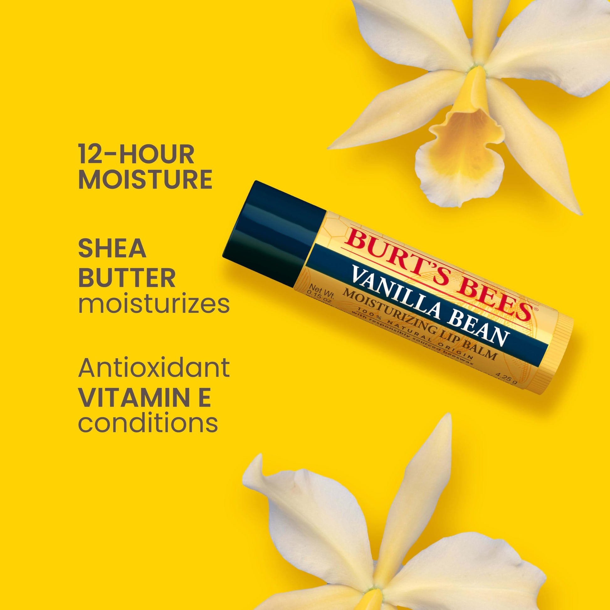 Burt’s Bees Lip Balm, Vanilla Bean Tube, 0.15 Ounce