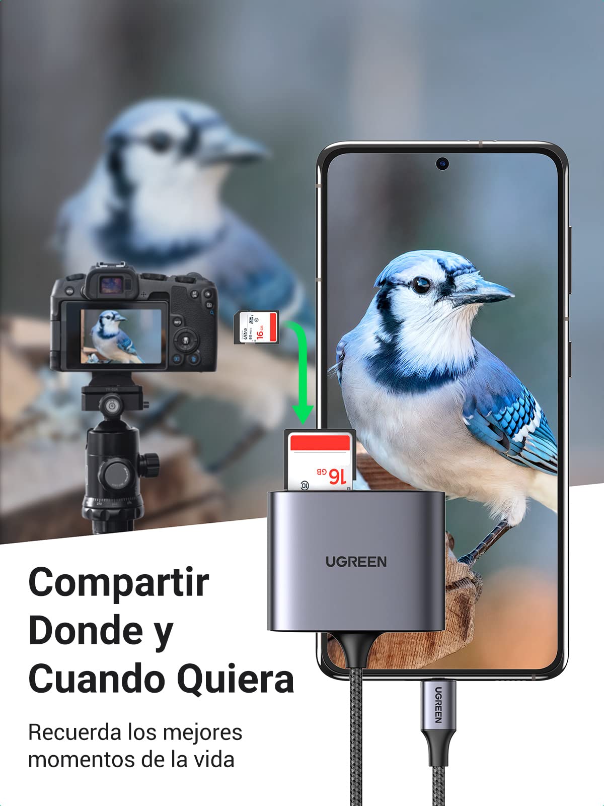 Lector de Tarjetas USB C 3.0 UGREEN Gris con Hub USB 2.0 para MacBook y Samsung Galaxy