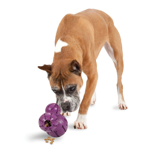 Juguete para Masticar PetSafe Busy Buddy Barnacle dispensador para Perros