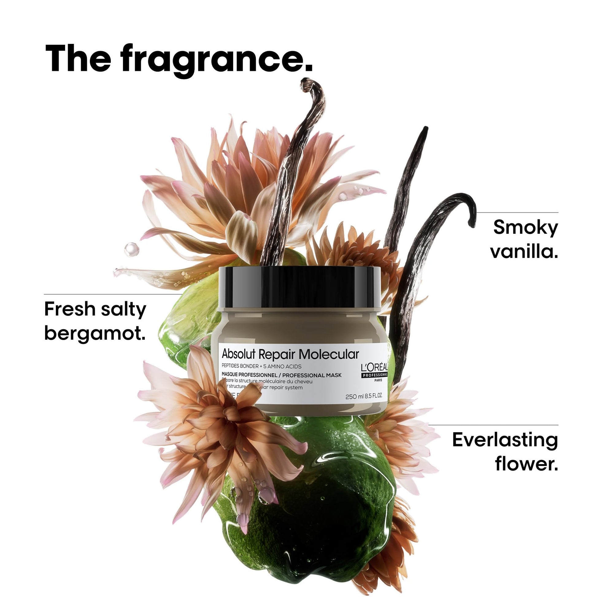 L'Oréal Professionnel Absolut Repair Molecular Mascarilla | Mascarilla reparadora | Para cabello muy dañado | Con tecnología 2% reparador de péptidos + 5 aminoácidos | Repara el cabello y restaura su fuerza | Repara la estructura molecular | 250ml