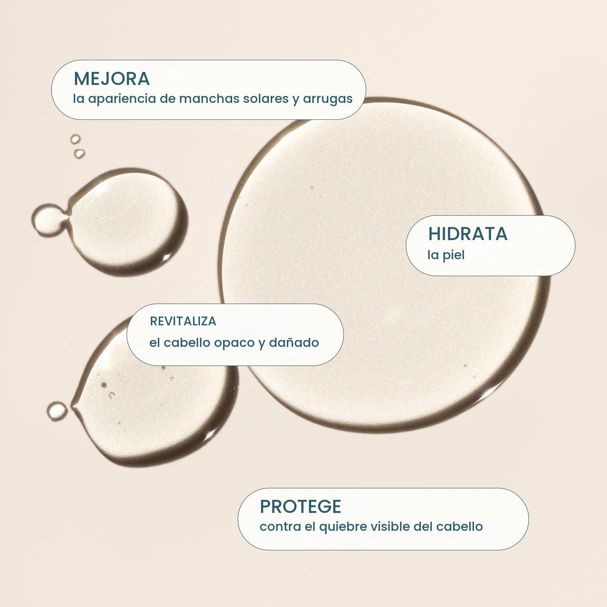 Cliganic Aceite de Argán Orgánico Ingrediente Único, Marruecos, 120 ml