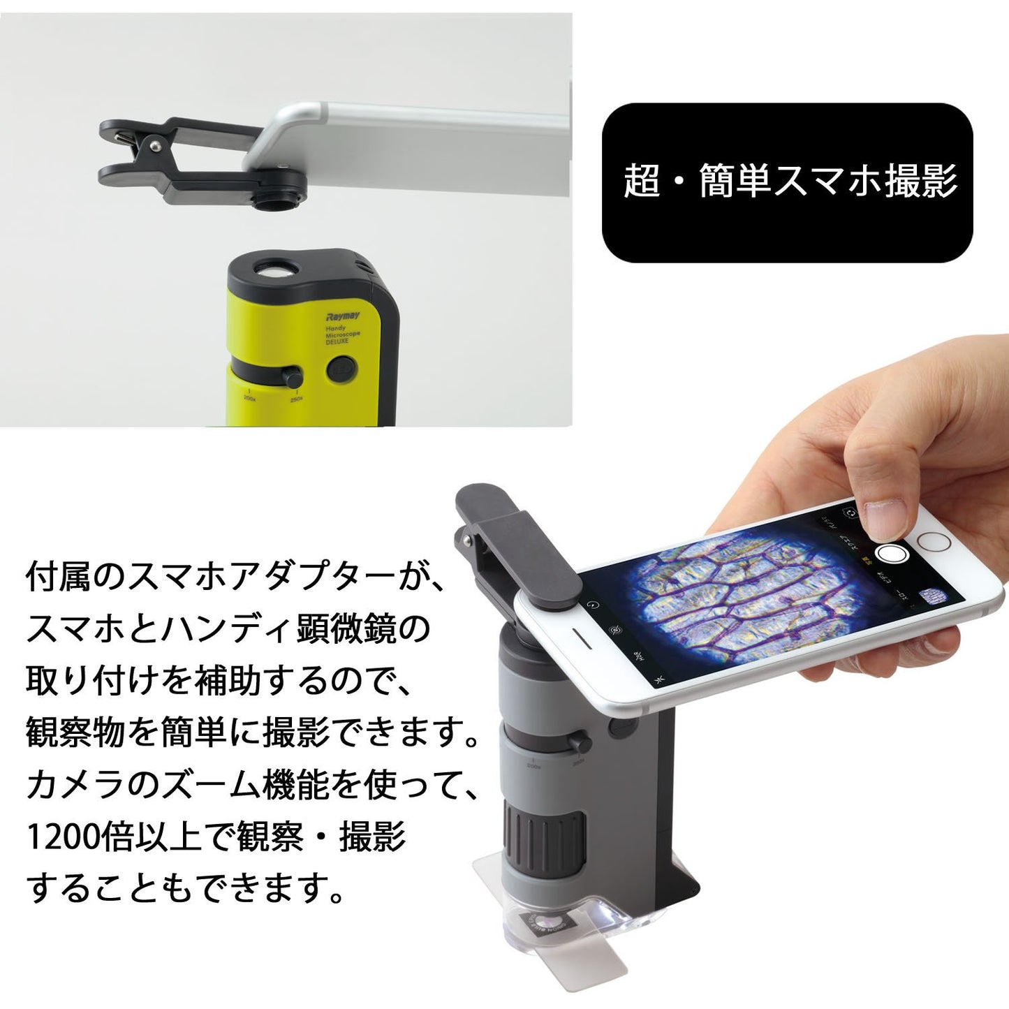 Microscopio Raymay Fujii DX gris práctico