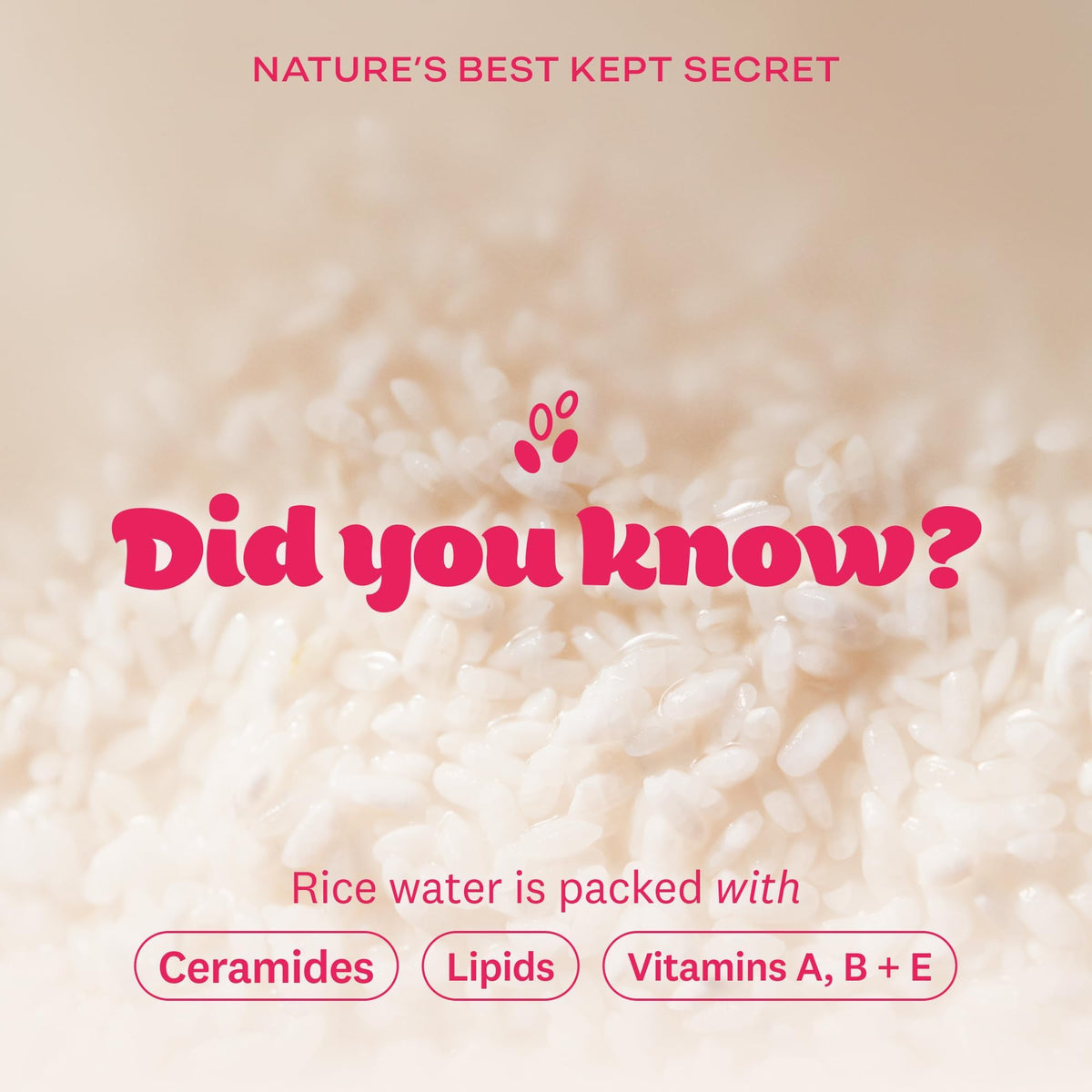 The Face Shop - Rice Water Bright - Cleansing Light Oil - Facial Care