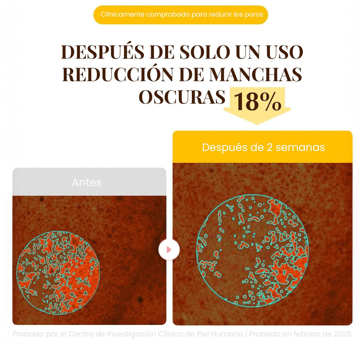 EQQUALBERRY Mascarilla Facial Colágeno y Niacinamida Coreana