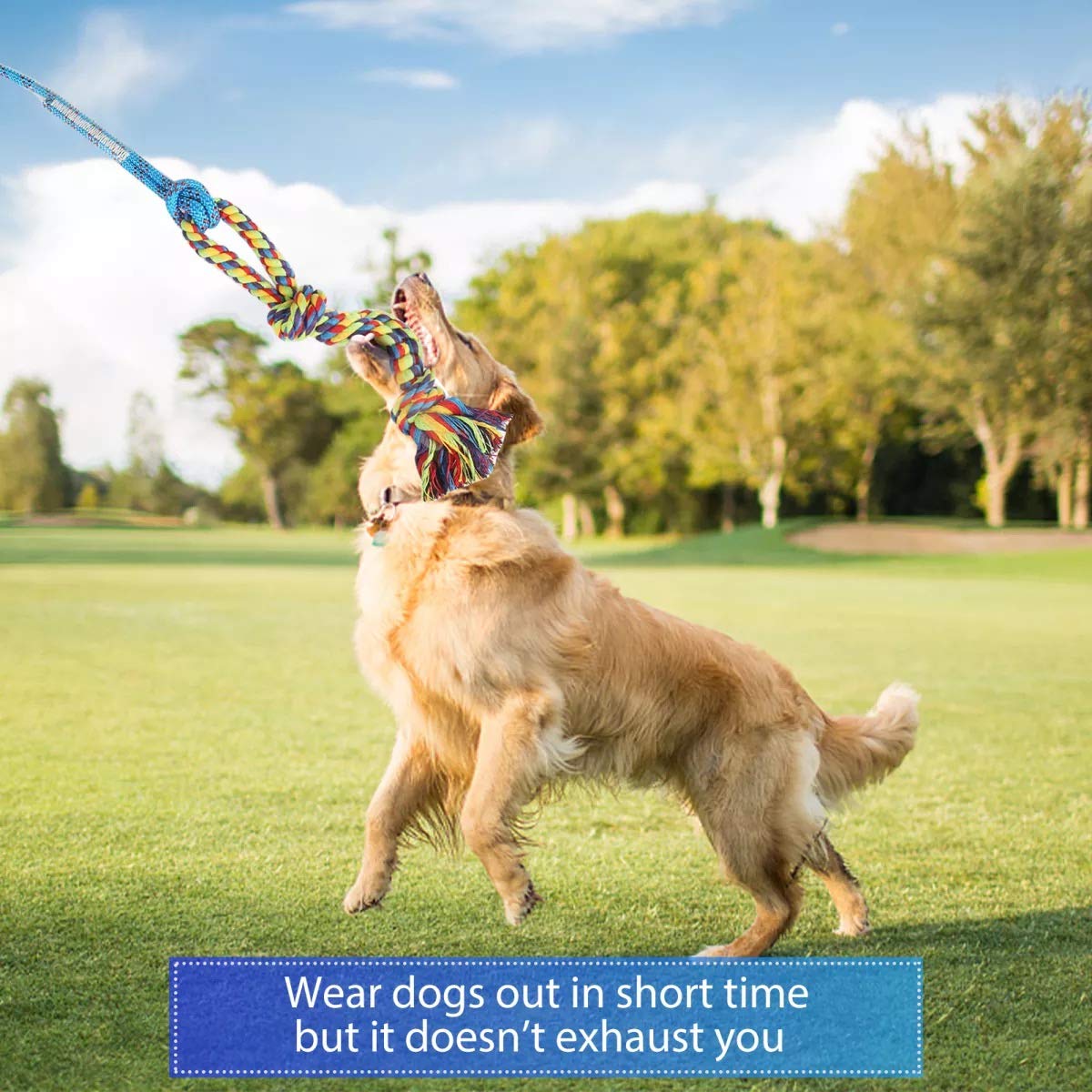 DIBBATU Juguete de poste de coqueteo para perros, varita interactiva para perros, tirón de guerra y ejercicio al aire última intervensión, juguete de señuelo de correa con cuerda de masticar para perseguir y entrenar para perros pequeños