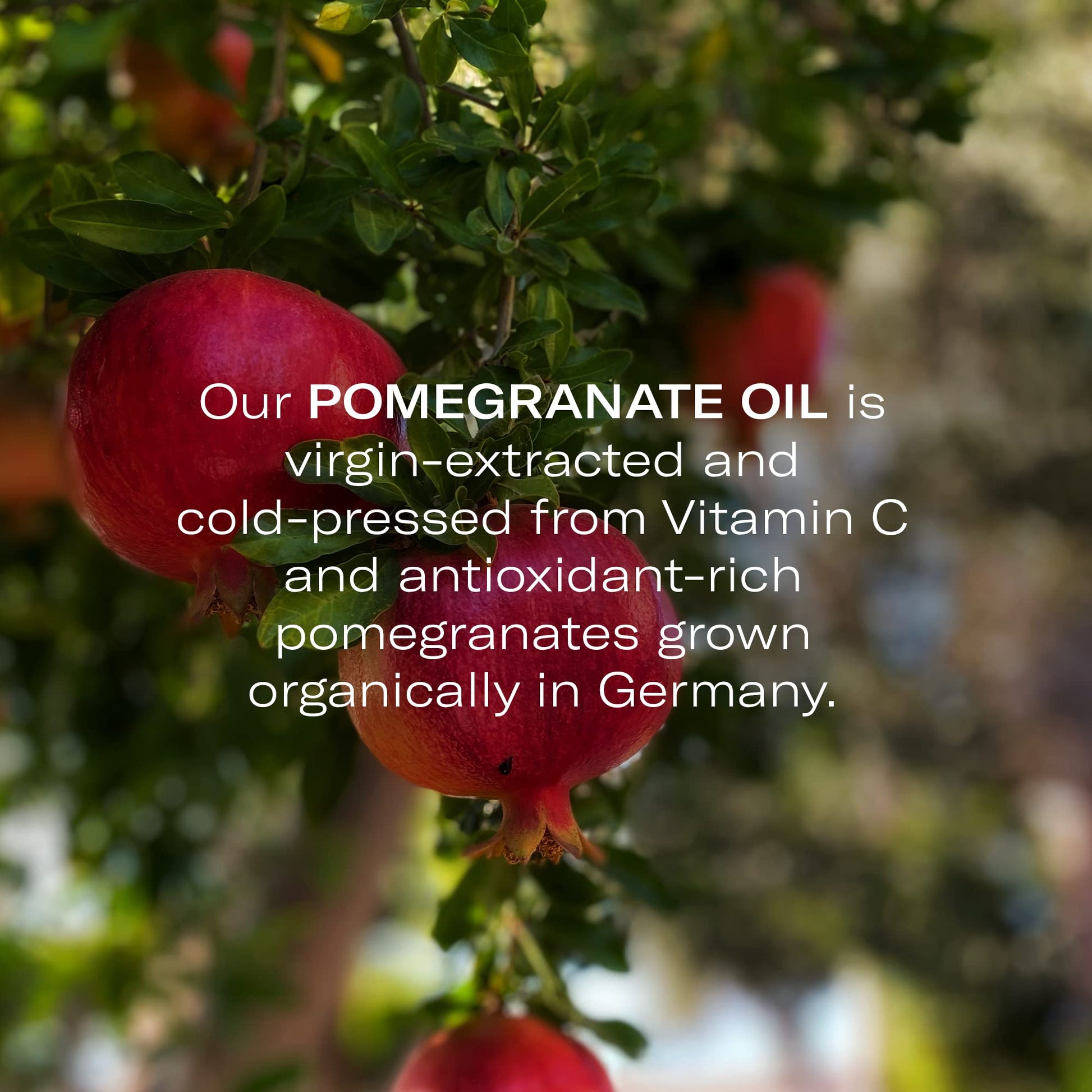 OdacitÃ | Po+R Hydration Facial Serum Concentrate | Pomegranate & Rose Geranium | Skin Hydration For Improved Texture And Plumpness | Natural, Vegan & Cruelty-Free | 5ml