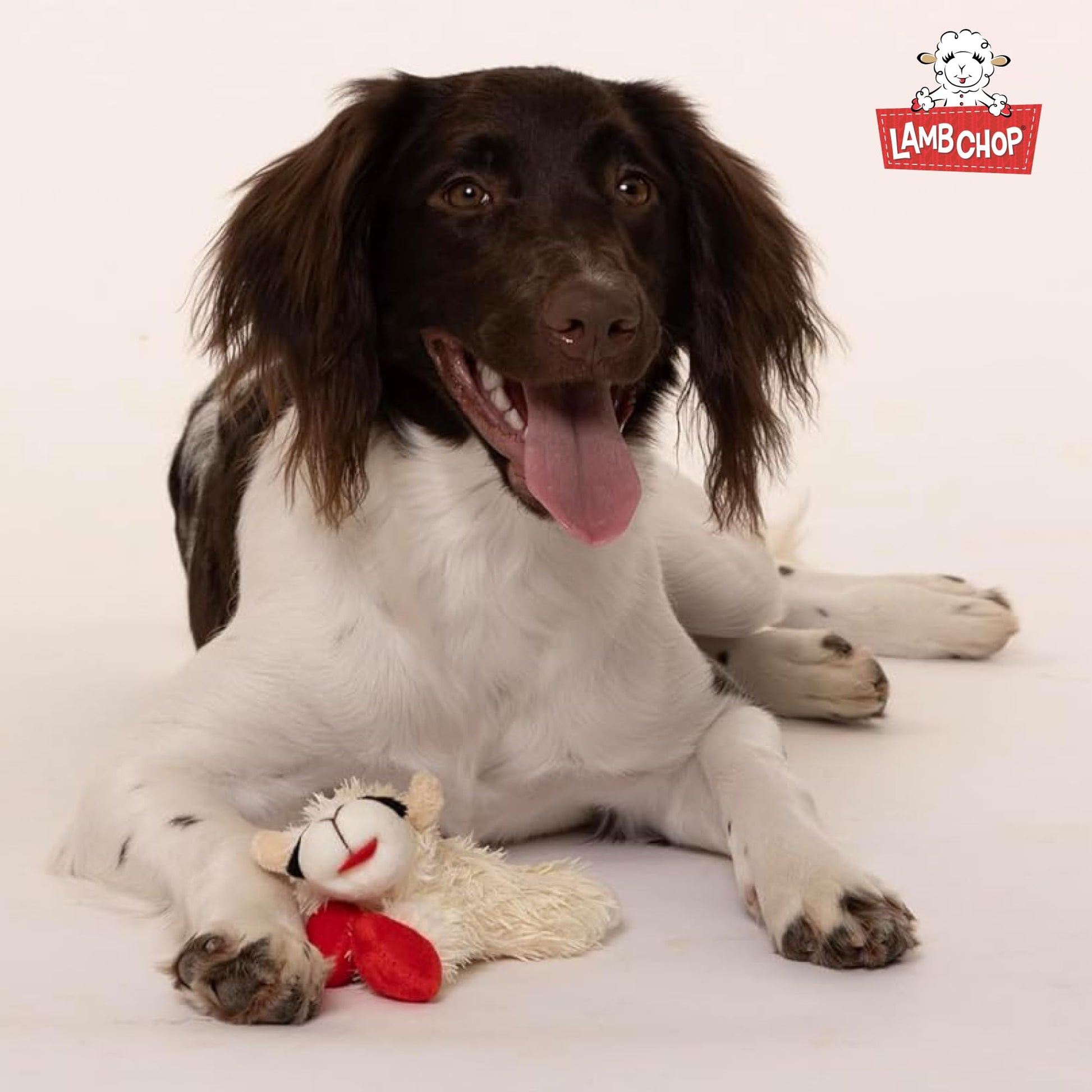 Juguete de Peluche Multipet International Lambchop Blanco 15.2 cm para Mascotas
