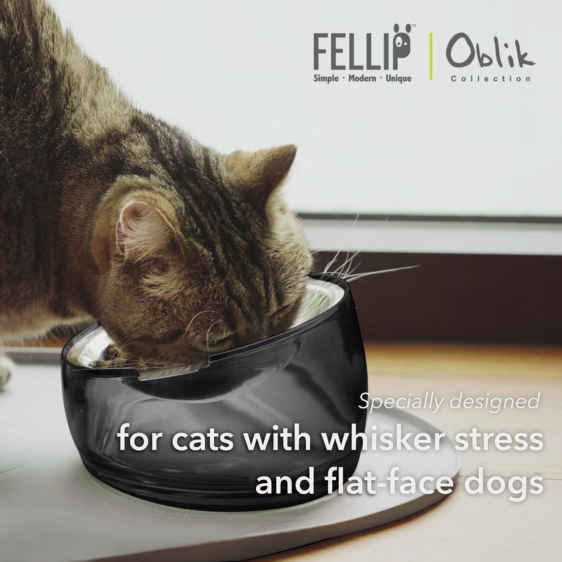Felli Cuenco elevado para gatos de acero inoxidable inclinado para aliviar la fatiga de los bigotes de mascotas, poco profundo para gatos persas, exóticos, de pelo corto, de cara plana, antideslizante, alimentador para gatos (0.5 tazas, cuarzo ahumado)