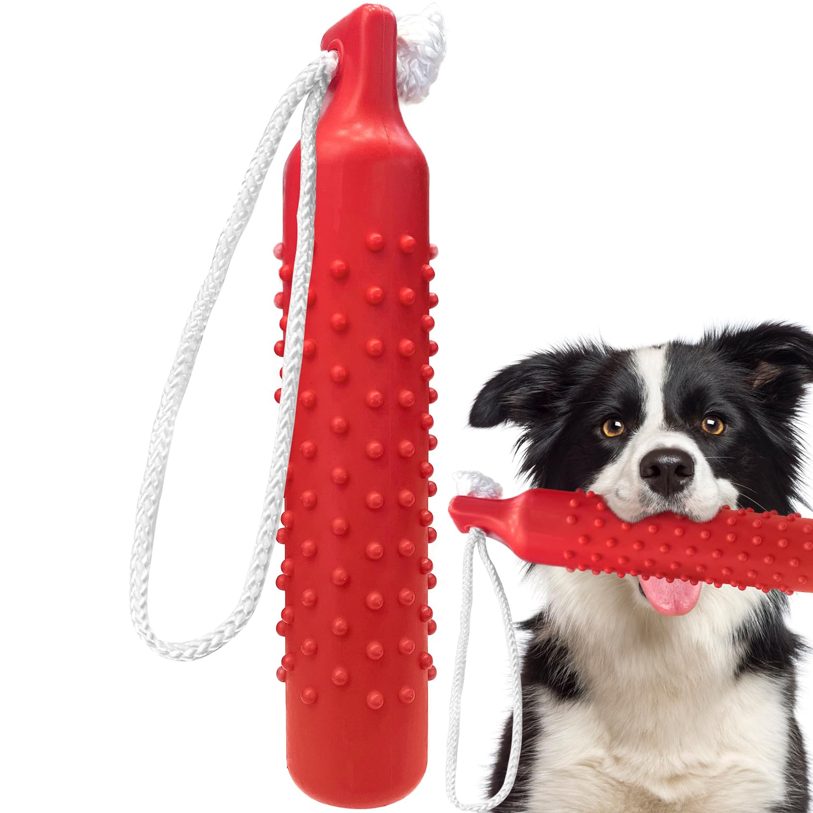 BINGPET Dog Retriever Training Dummy Retrieving Bumpers Pool Toy