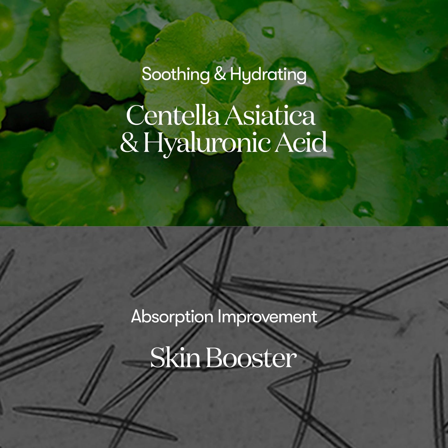 VT COSMETICS CICA Reedle Shot 100, suero de microagujas para uso diario y nocturno con exosomas, centella asiática, ácido hialurónico, propóleo, piel suave, regeneración, piel de cristal, potenciad