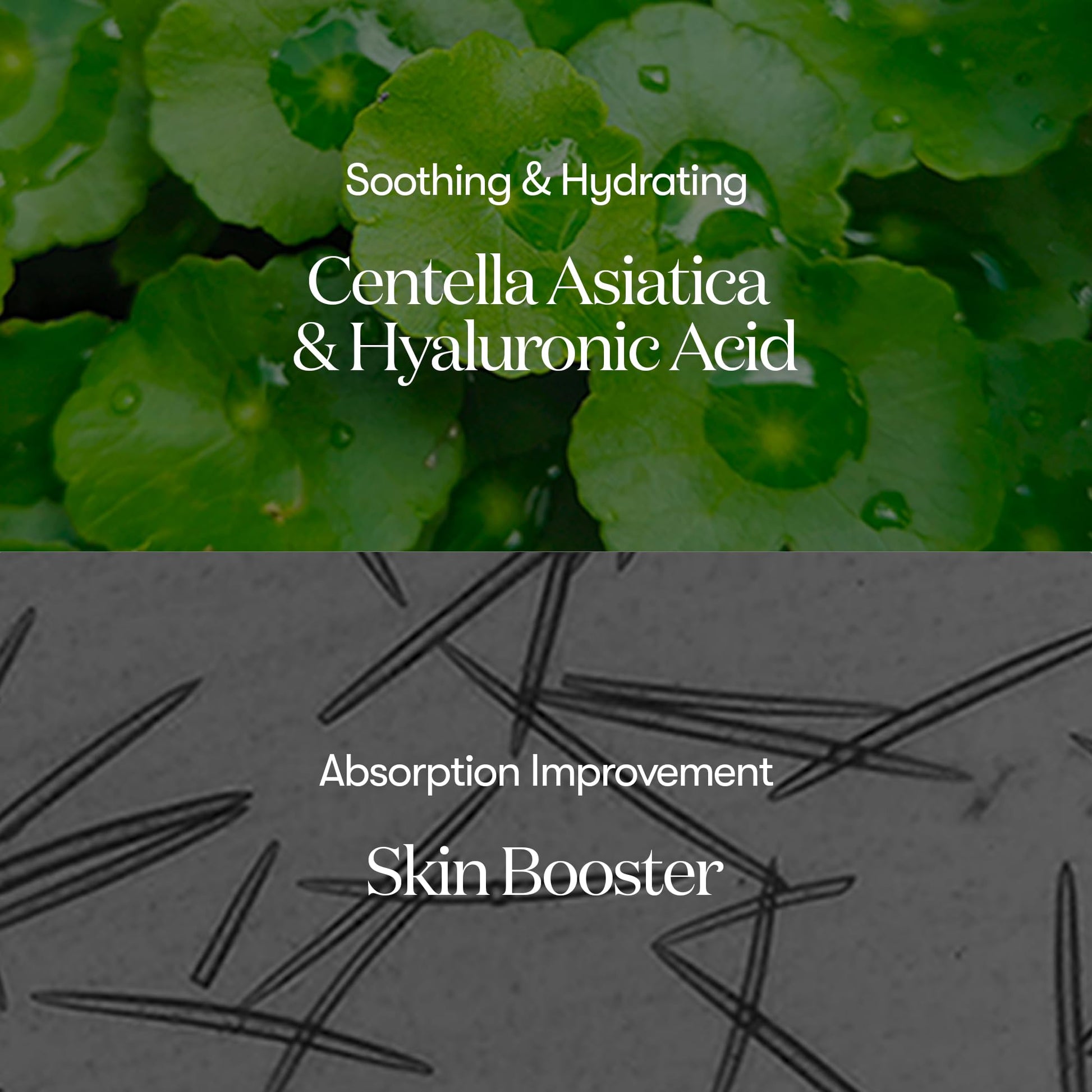 VT COSMETICS CICA Reedle Shot 100, suero de microagujas para uso diario y nocturno con exosomas, centella asiática, ácido hialurónico, propóleo, piel suave, regeneración, piel de cristal, potenciad