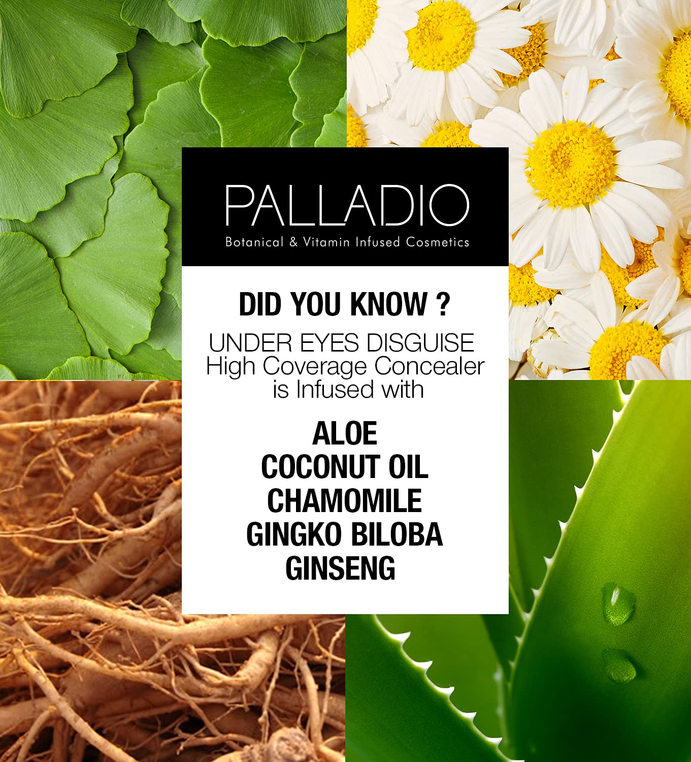 Palladio Corrector de Cobertura Completa, Disfraz para Ojos, Corrector Facial y para Ojos Cremoso, Unifica el Tono de la Piel, Oculta Imperfecciones, Ojeras y Líneas Finas, Custard