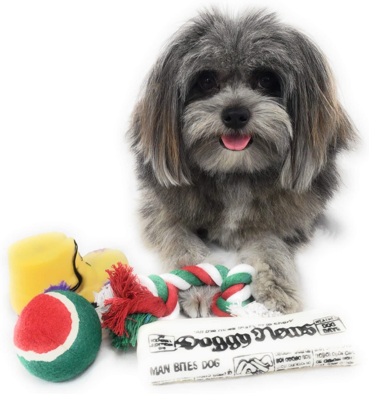 Calcetín Navideño para Perros Sub-Gift