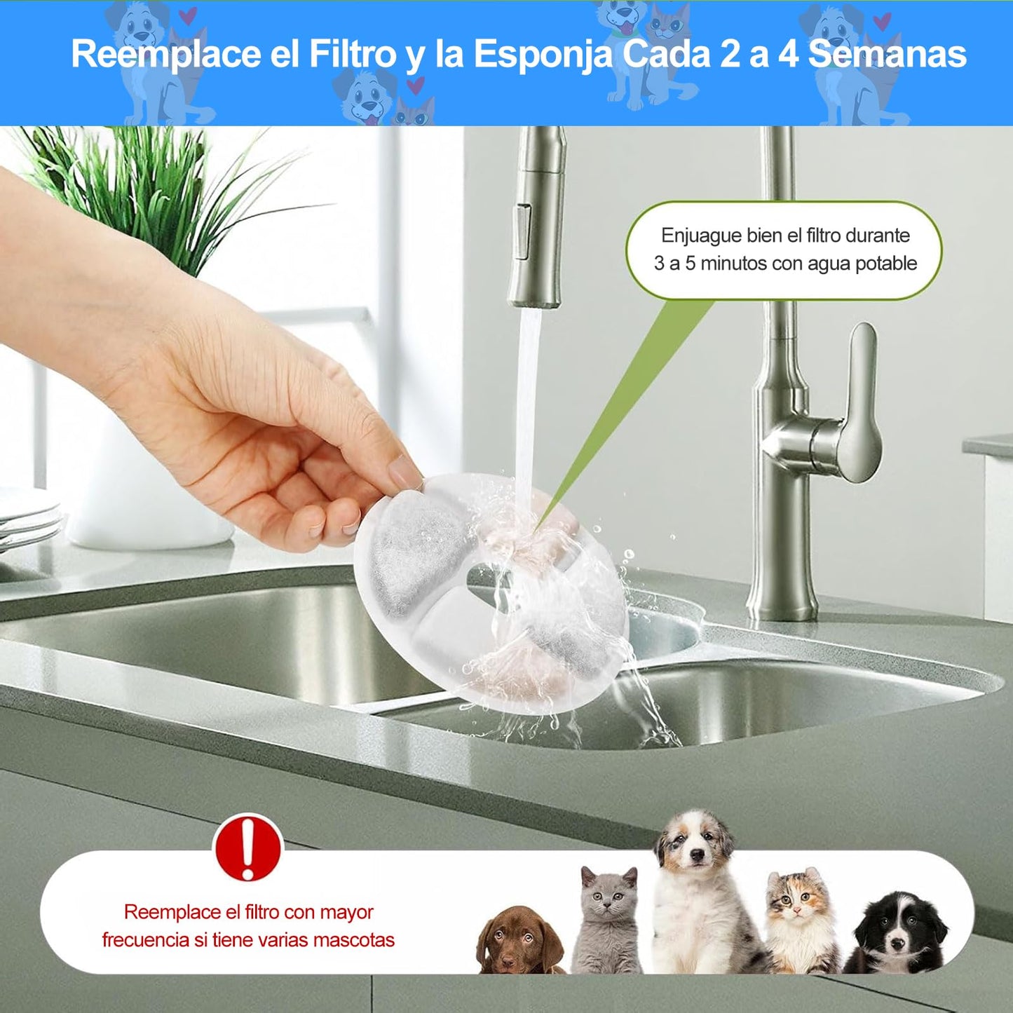 Filtros de Repuesto para Fuente de Gatos Rispetit 6 Piezas con Resina y Carbón Activo 70 oz